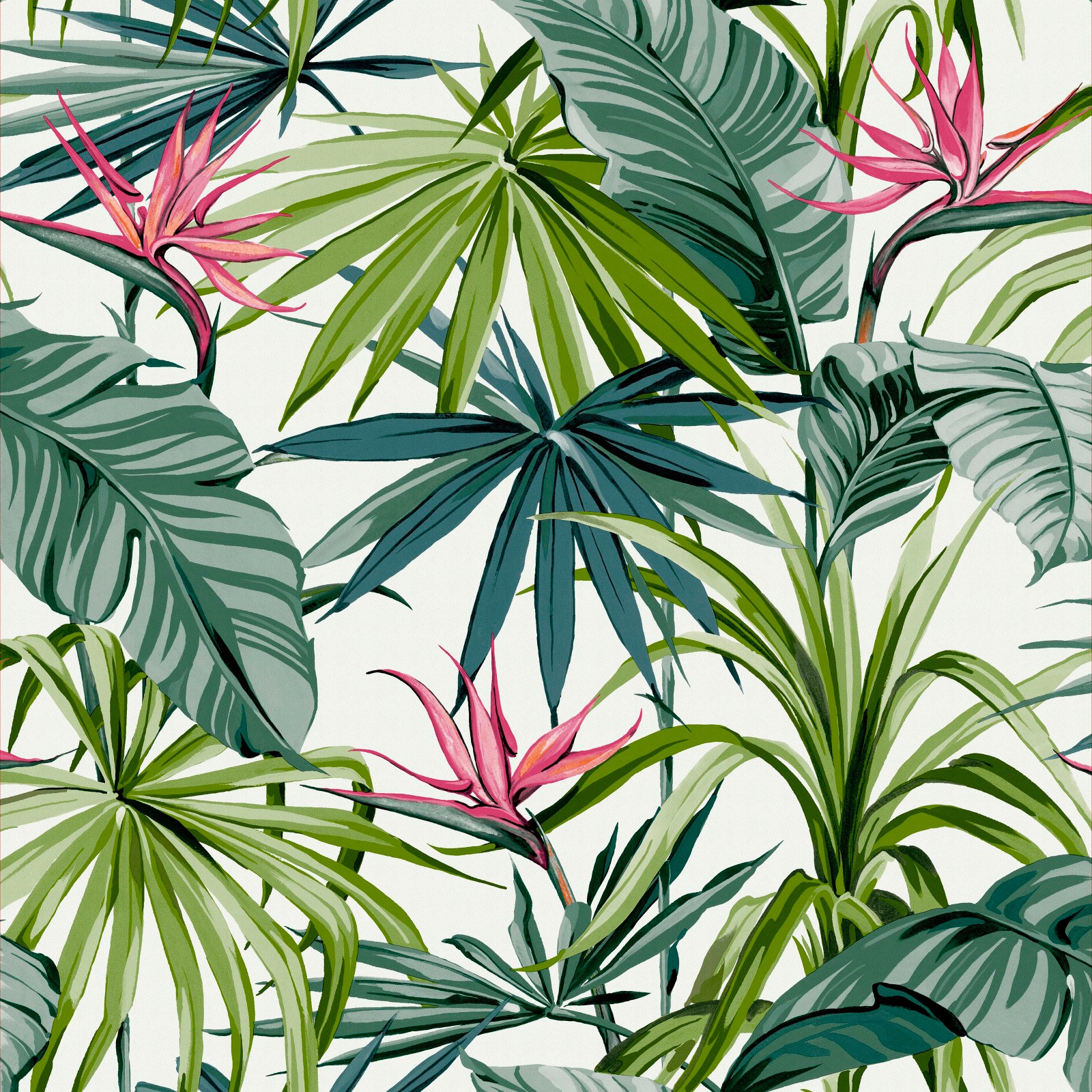 WOW Vliestapete »Paradiesvogel Blume« FSC®...