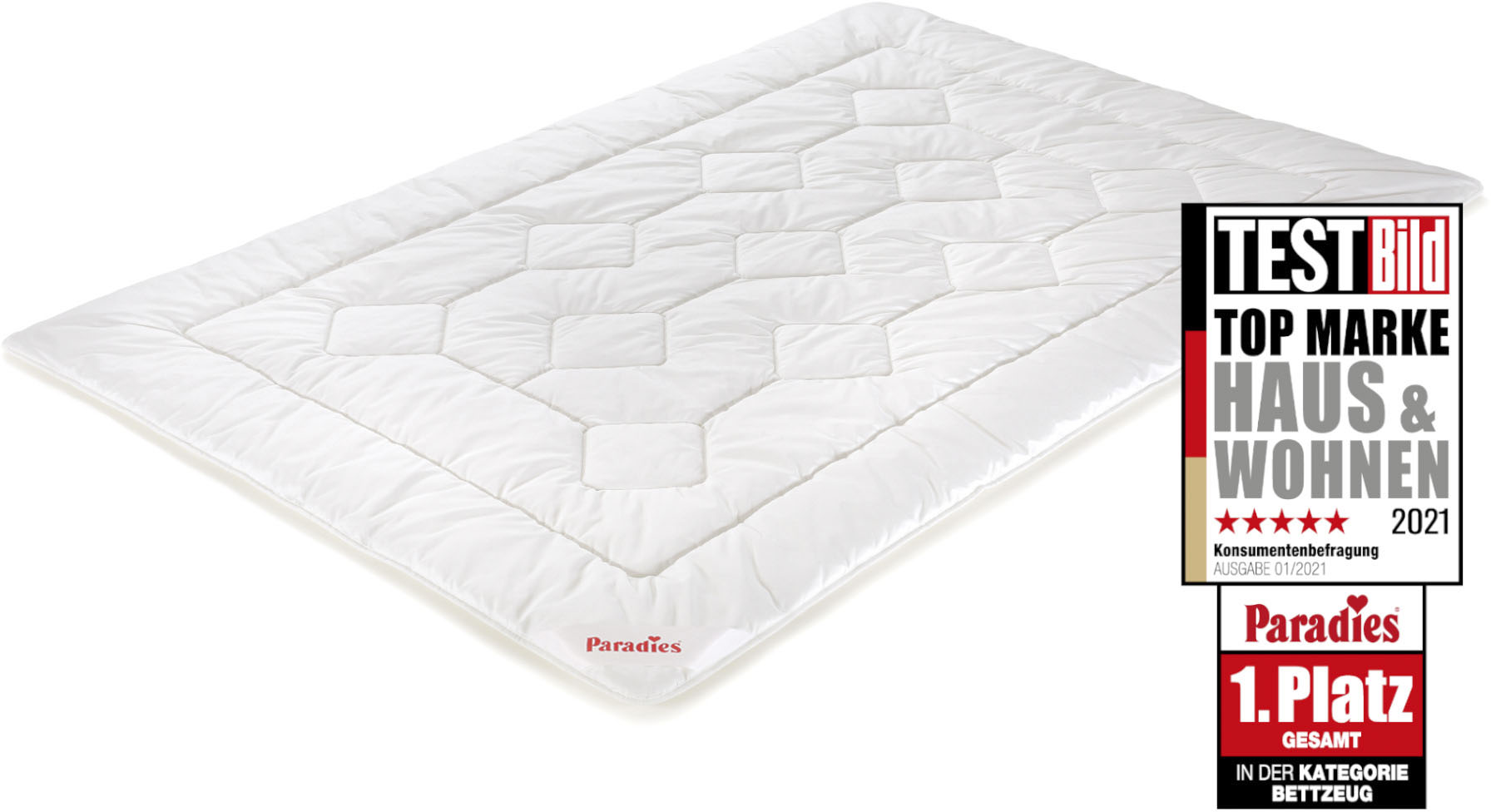 Kunstfaserbettdecke »Holstein Bio«, leicht, Bezug 100% Baumwolle, (1 St.), optimale...