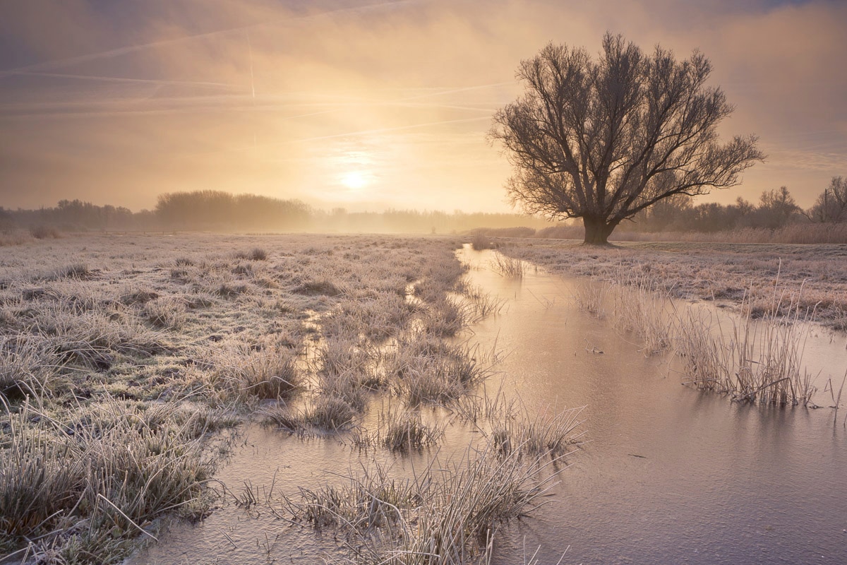 Papermoon 1100000002199 "Winterlandschaft"
