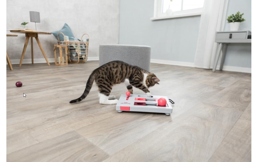 TRIXIE Tier-Intelligenzspielzeug »Cat Activity Brain Mover, 25 × 20cm« Kunststoff