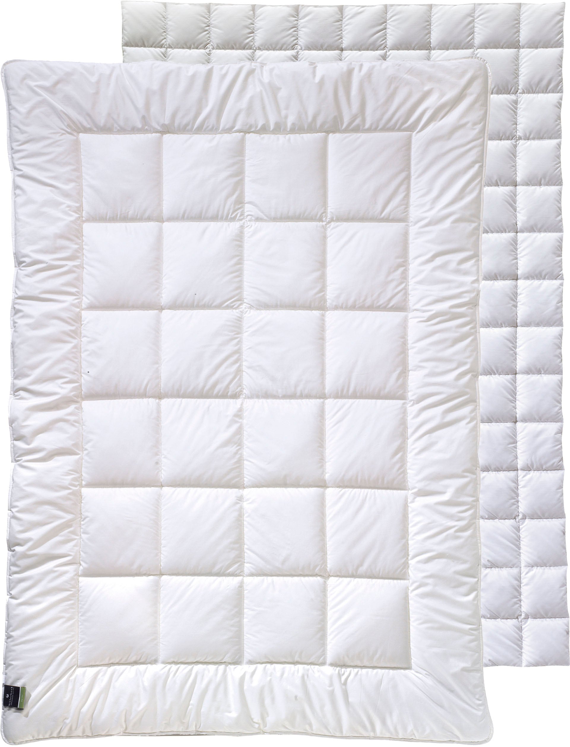 billerbeck Kunstfaserbettdecke "520 ALCANDO, Bettdecken für Sommer und Wint günstig online kaufen