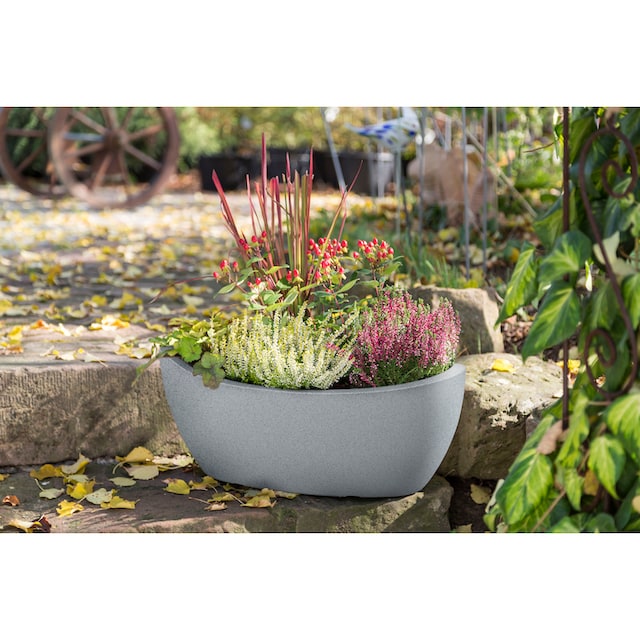 Scheurich Jardiniere »58/253 WA.GLOBE« kaufen | BAUR