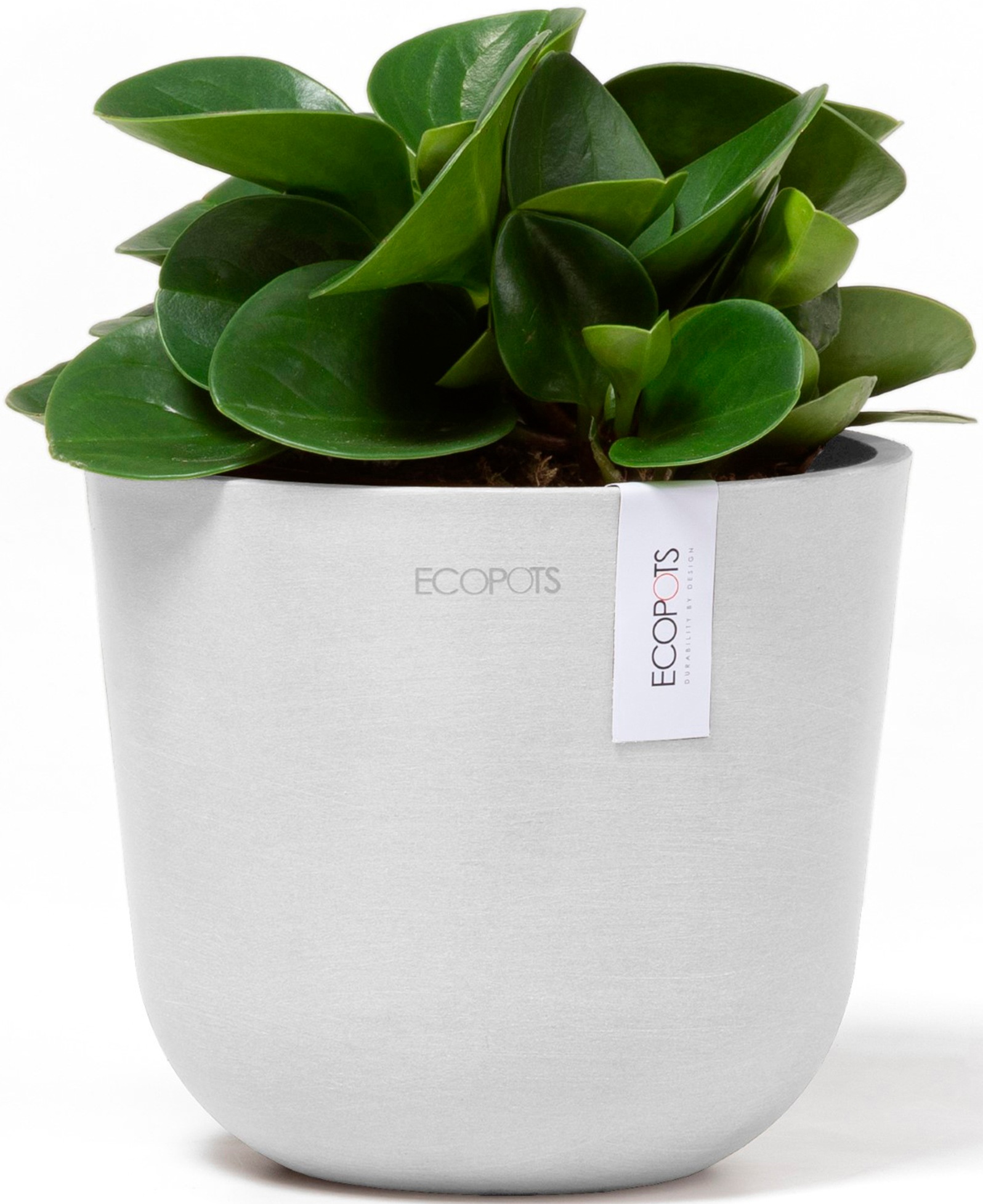 ECOPOTS Blumentopf »Oslo Mini 16 Weiß«, für den Innenbereich
