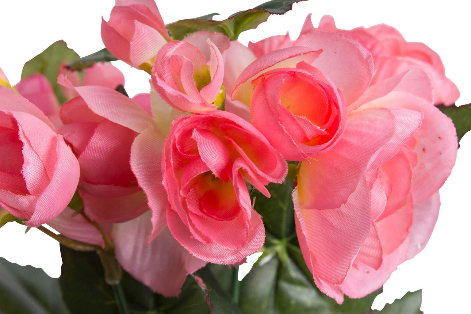 Botanic-Haus Kunstblume "Begonienbusch mit 7 Stielen" günstig online kaufen