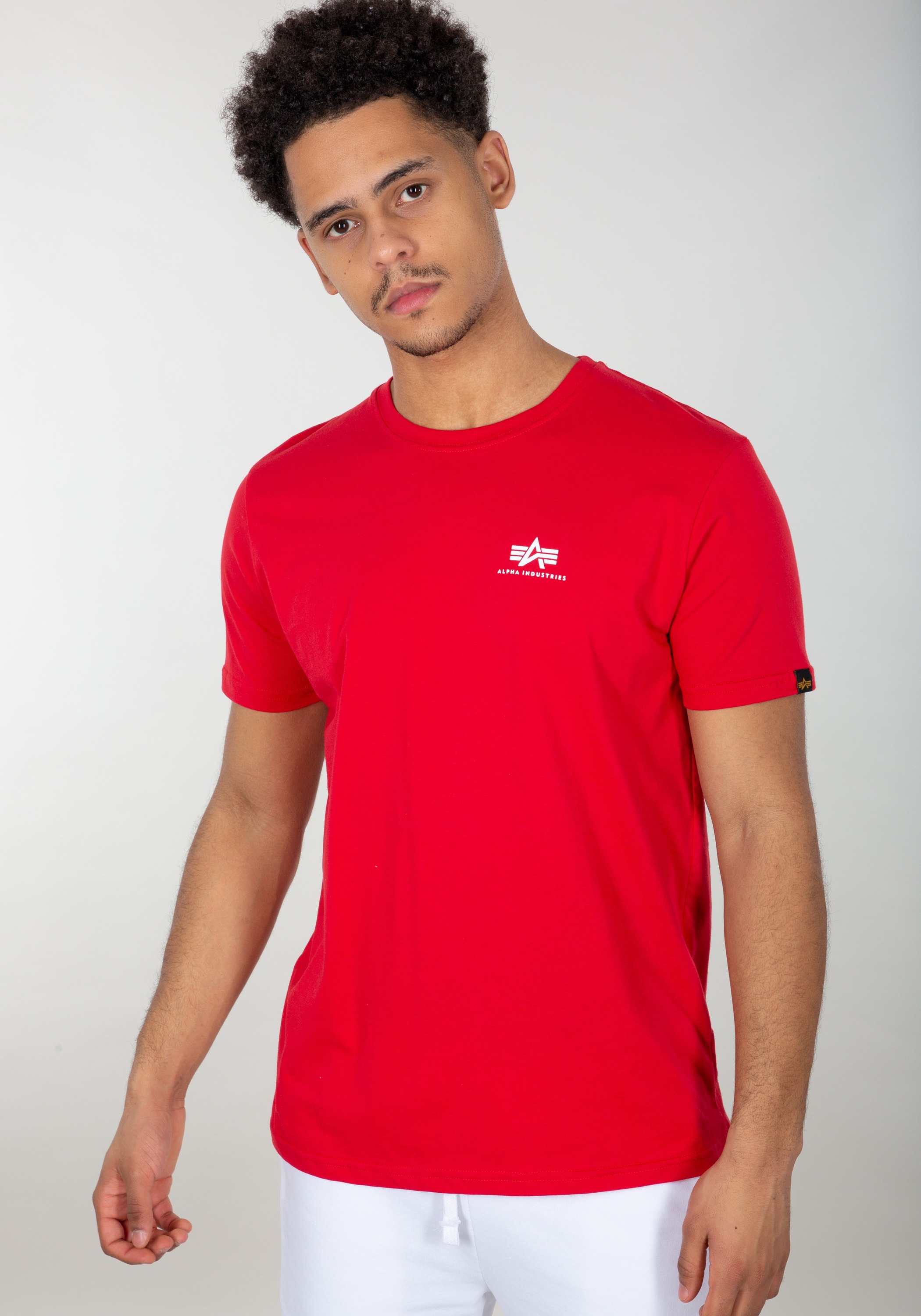 Alpha Industries T-Shirt "Backprint T-Shirt" günstig online kaufen
