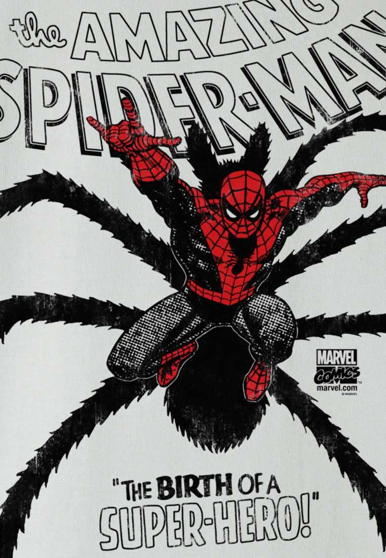 SPIDER-MAN«, BAUR mit - »MARVEL ▷ | für T-Shirt angesagtem LOGOSHIRT Superhelden-Print