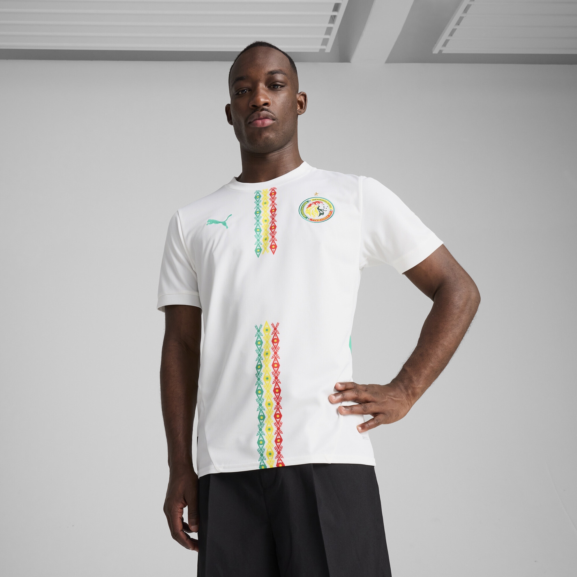 PUMA Trainingsshirt »Senegal 2025 Heimtrikot Herren«