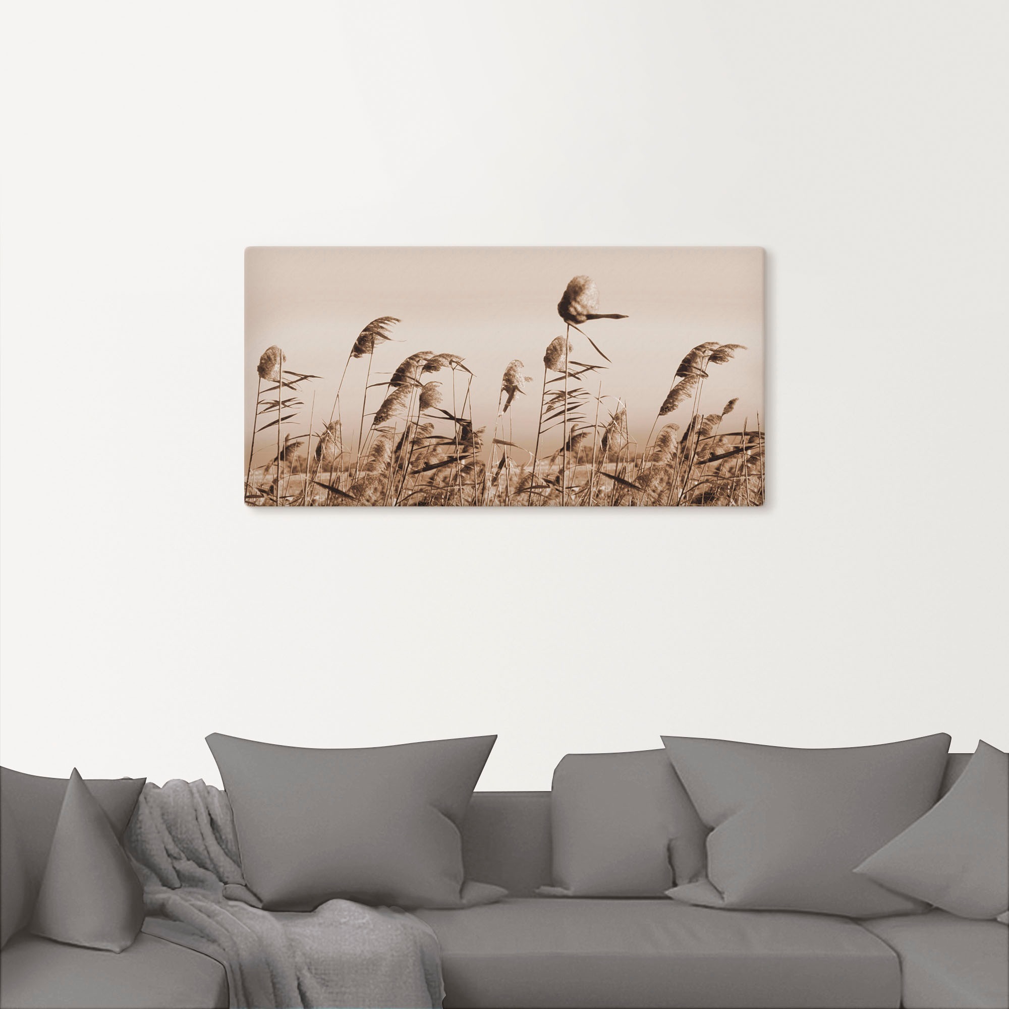 Artland Leinwandbild "Gräser" Gräser 1 Stk. tlg. als Alubild, Outdoorbild, günstig online kaufen