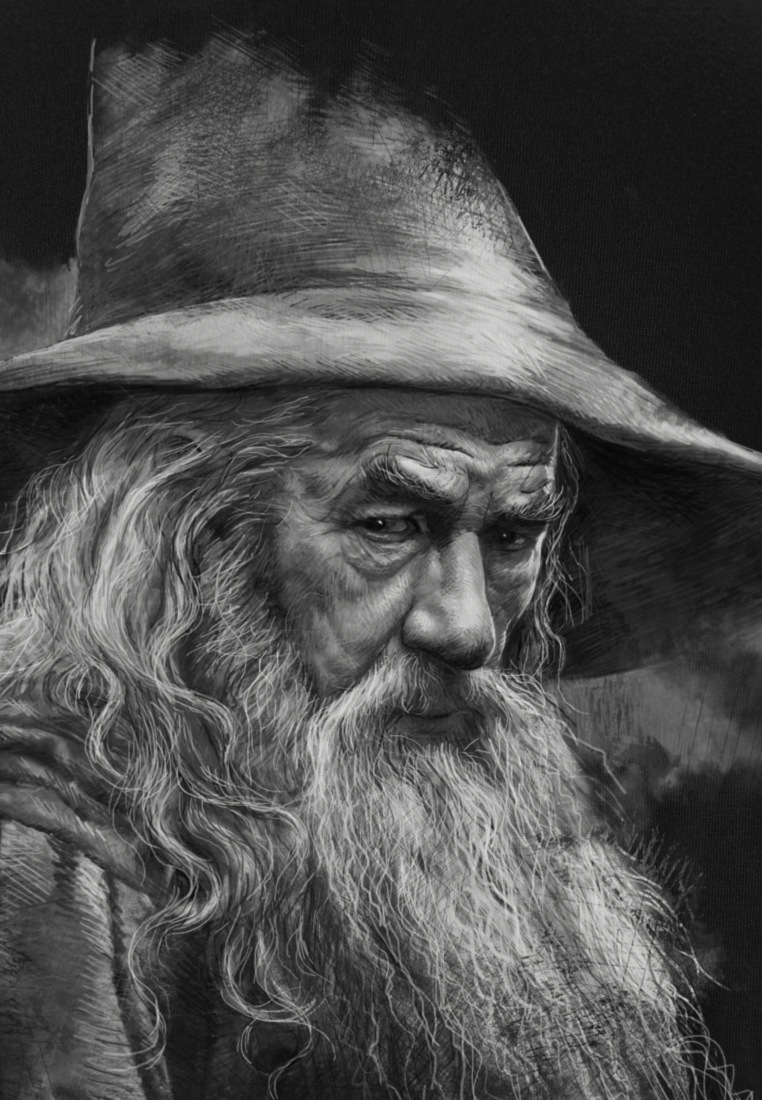LOGOSHIRT T-Shirt »The Hobbit«, mit großem Siebdruck