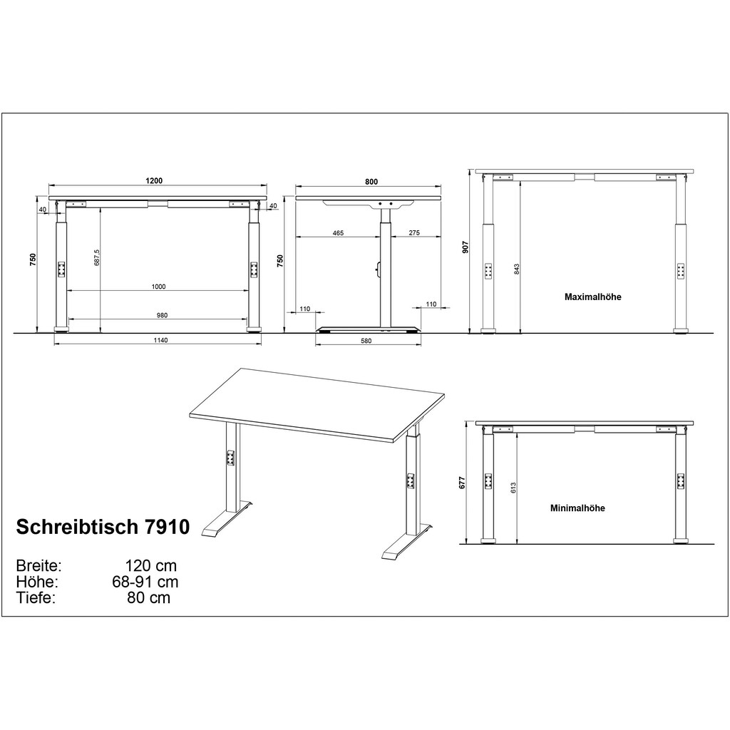 GERMANIA Schreibtisch »Downey«