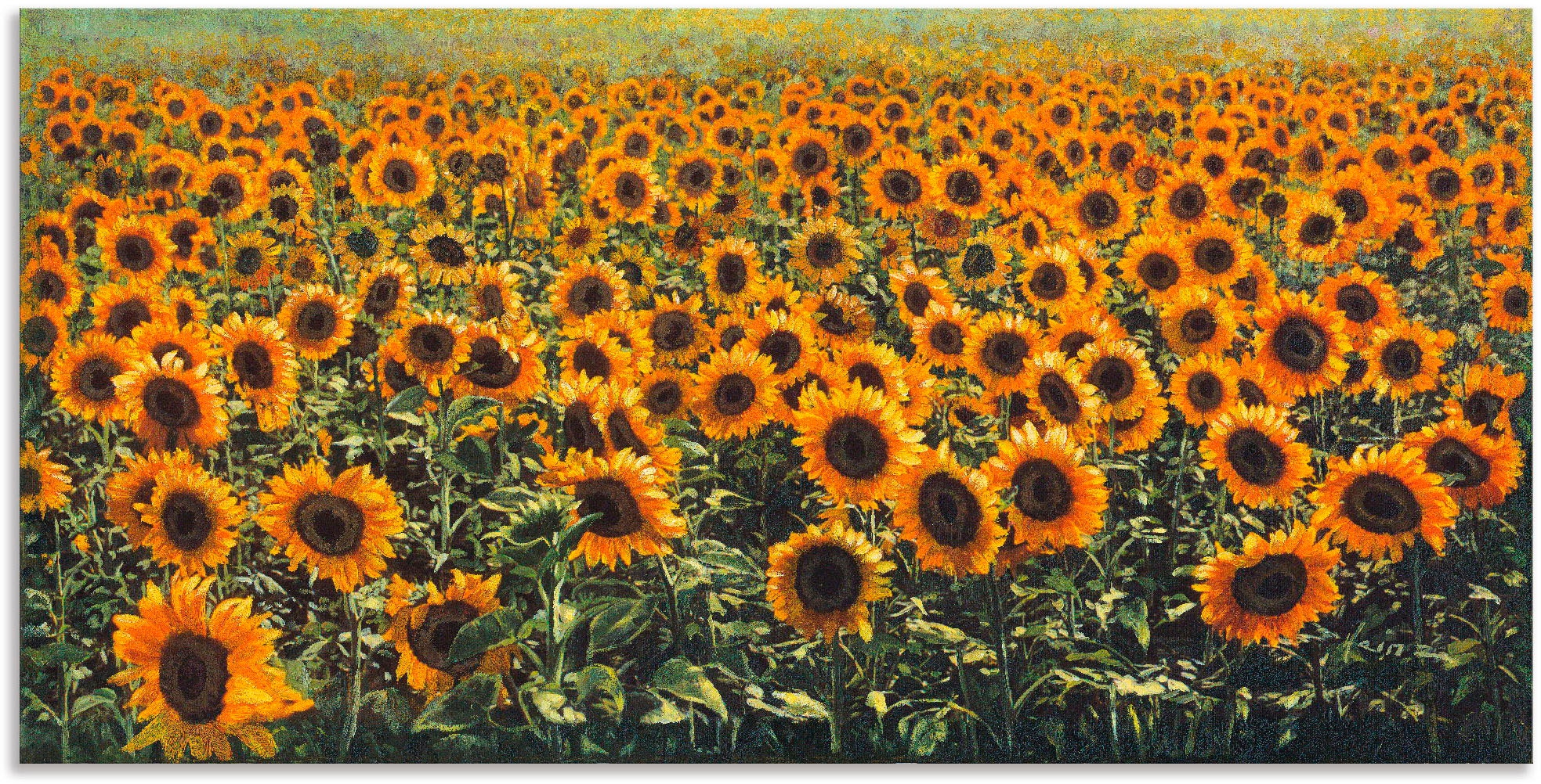 Artland Wandbild "Sonnenblumenfeld", Blumenwiese, (1 St.), als Alubild, Out günstig online kaufen