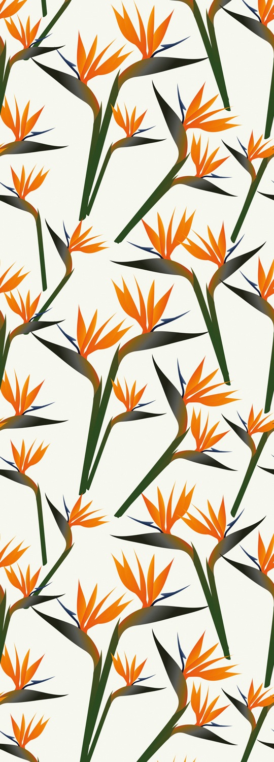queence Vinyltapete "Samuel" Motiv bedruckt botanisch floral gemustert natürlich glatt 90x250cm, selbstklebend, kinderleichte Anbringung, Sticker