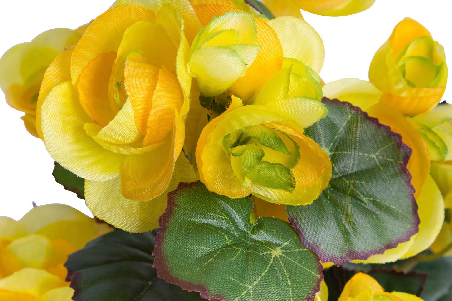Botanic-Haus Kunstblume "Begonienbusch mit 7 Stielen" günstig online kaufen