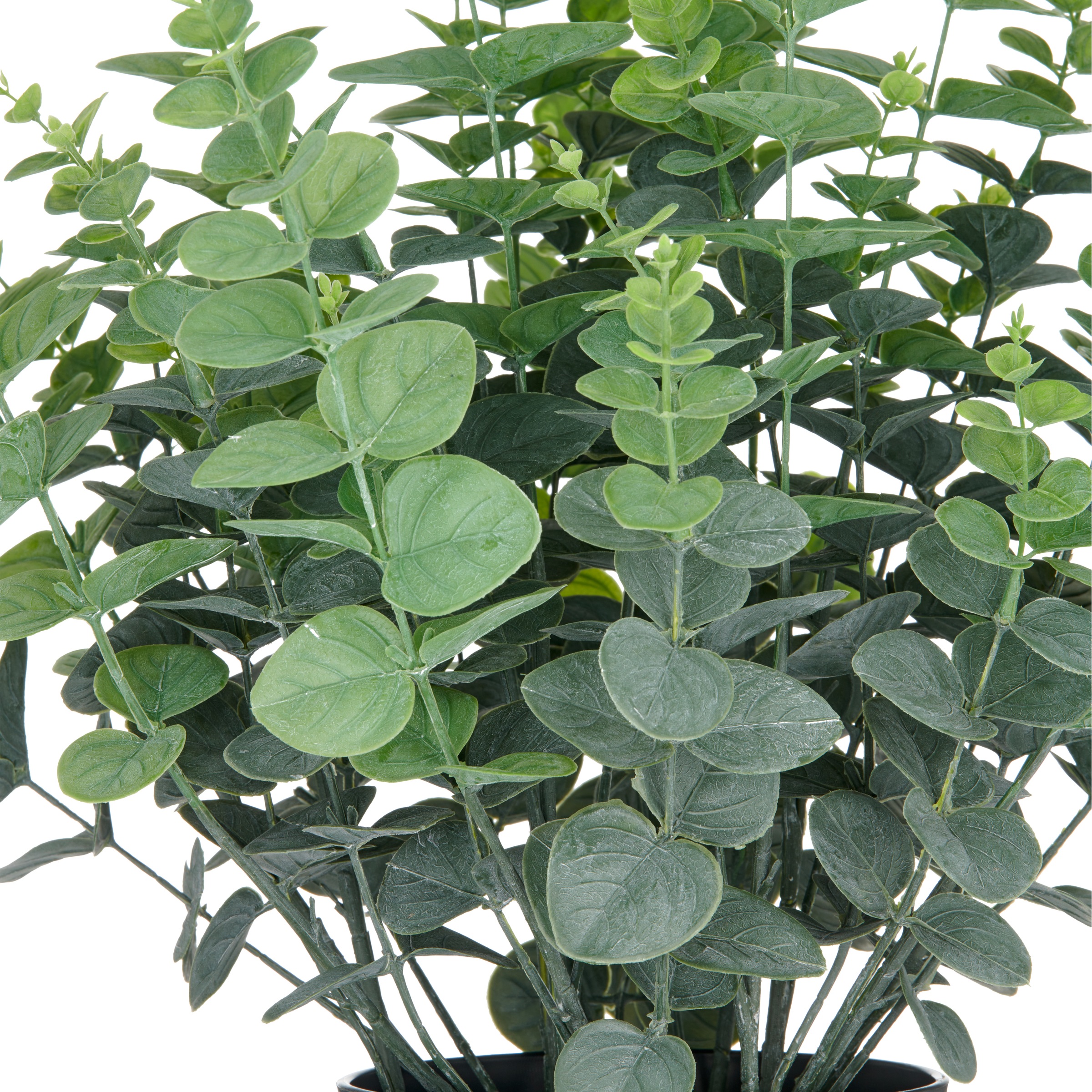 Creativ green Kunstpflanze "Eukalyptus gunnii" in UV-beständiger Ausführung günstig online kaufen