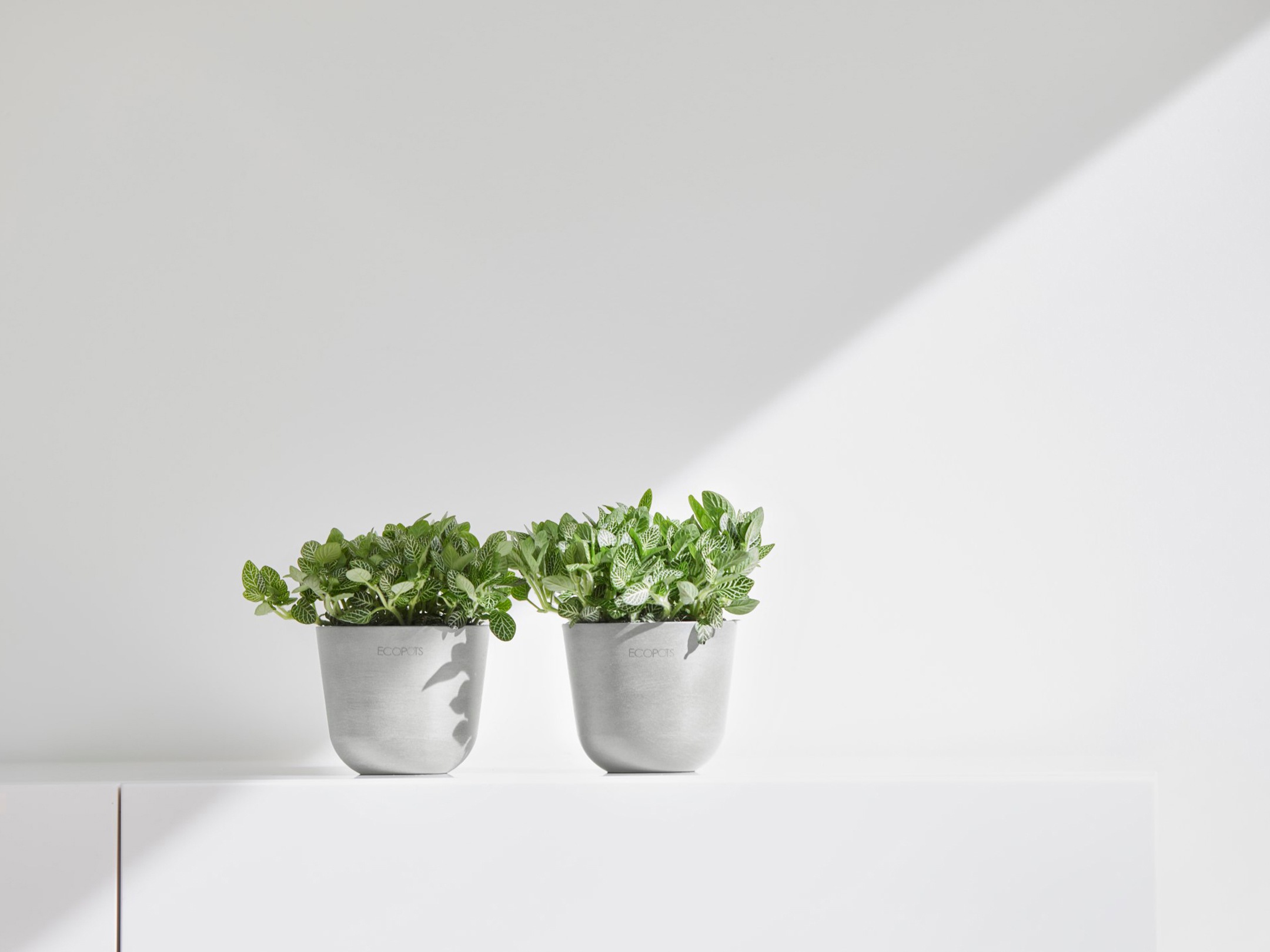 ECOPOTS Blumentopf »Oslo Mini 11,5 Weißgrau«, für den Innenbereich