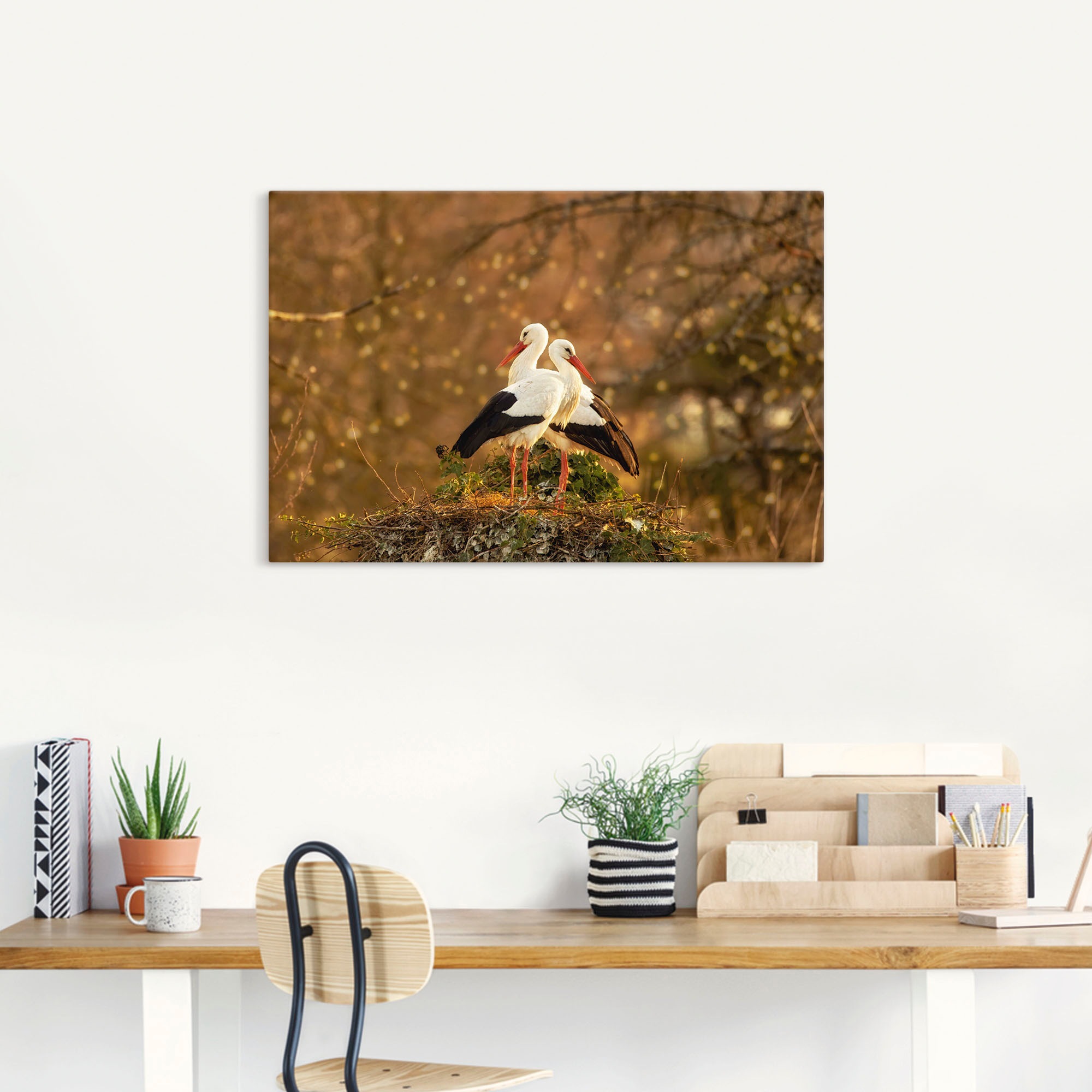 Thumbnail - Artland Leinwandbild "Storchenpaar", Vogelbilder, (1 St.), auf Keilrahmen gespannt