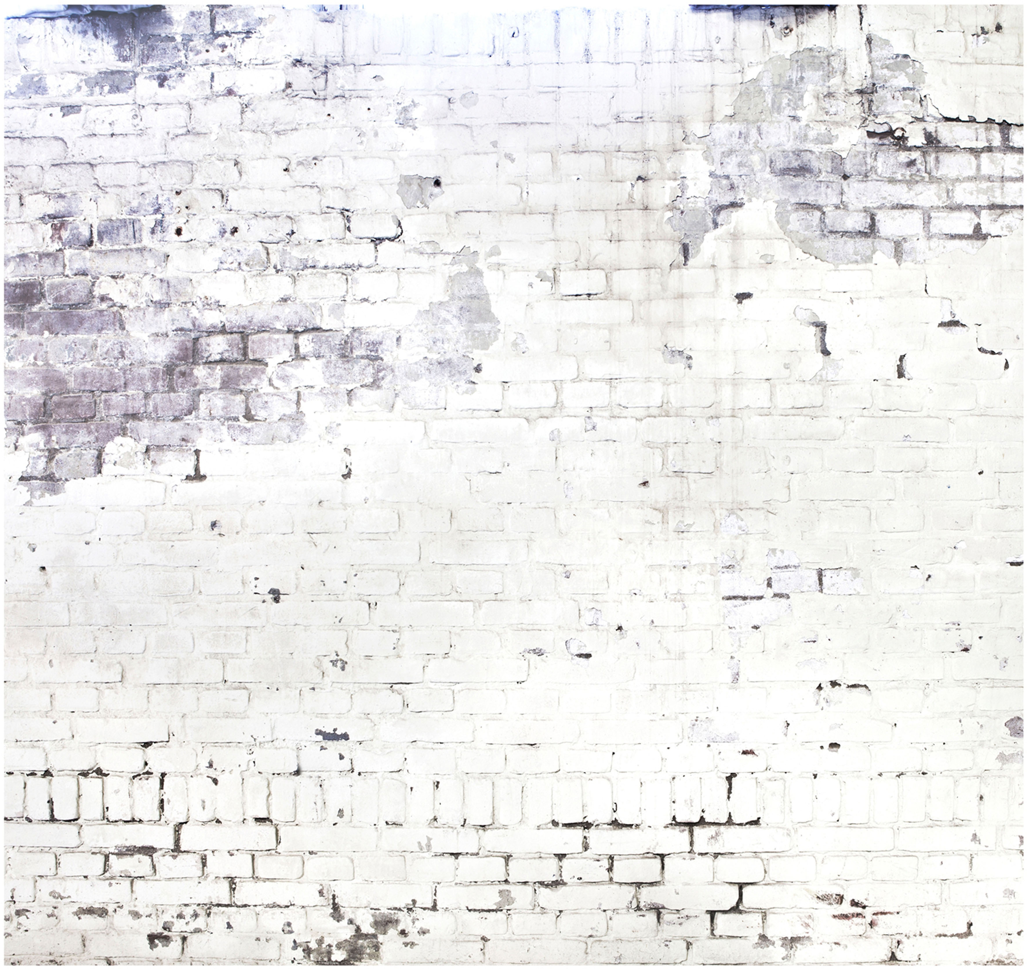 vtwonen Fototapete "Wand/Steine" Steinoptik glatt 318x300cm