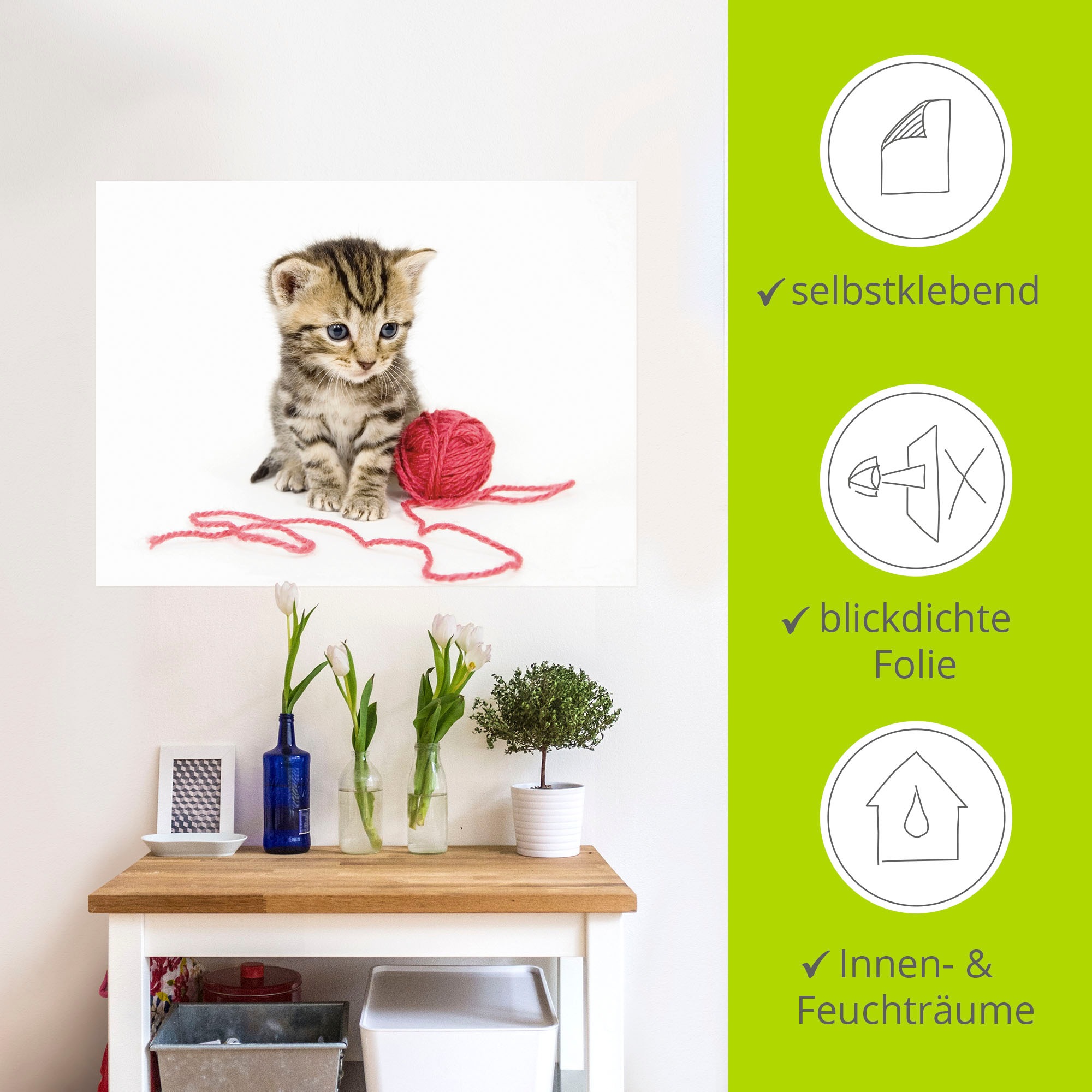 Artland Wandbild »Kätzchen mit rotem Garnball«, Haustiere, (1 St.), als Alubild, Outdoorbild, Poster, Wandaufkleber in verschied. Größen