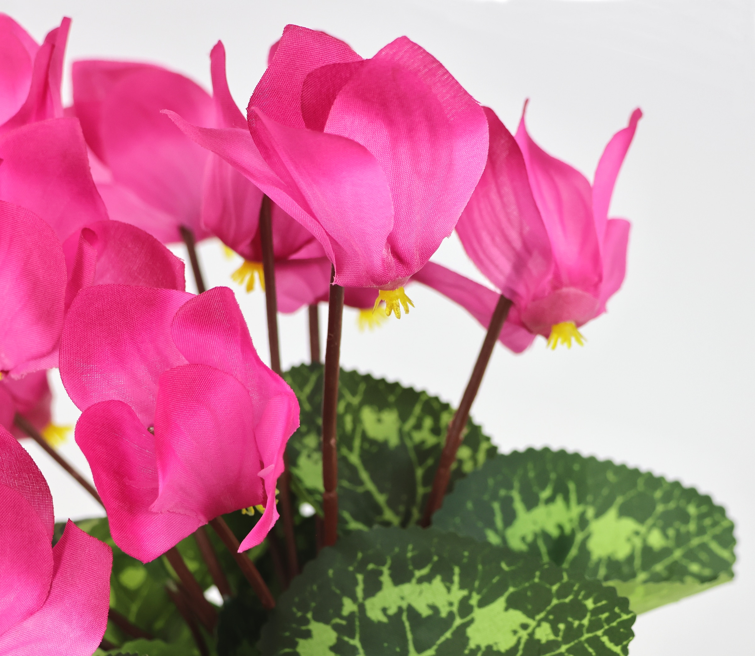 I.GE.A. Kunstblume »Alpenveilchen im Topf«, Künstliche Blume Dekopflanze Kunstpflanze Pflanze Primeln Seidenblume
