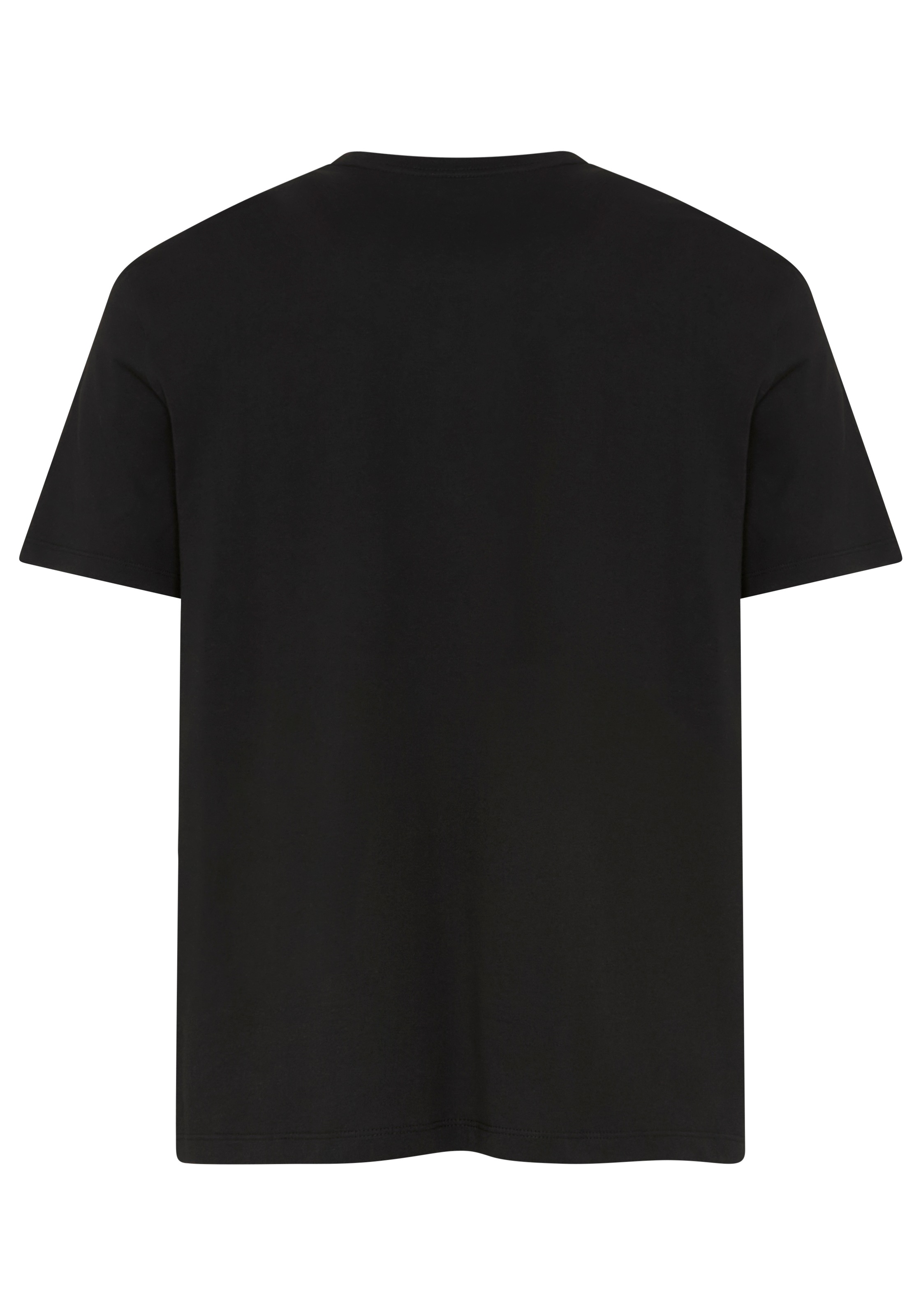 Calvin Klein Jeans T-Shirt »LINES SEASONAL« Regular fit mit Print