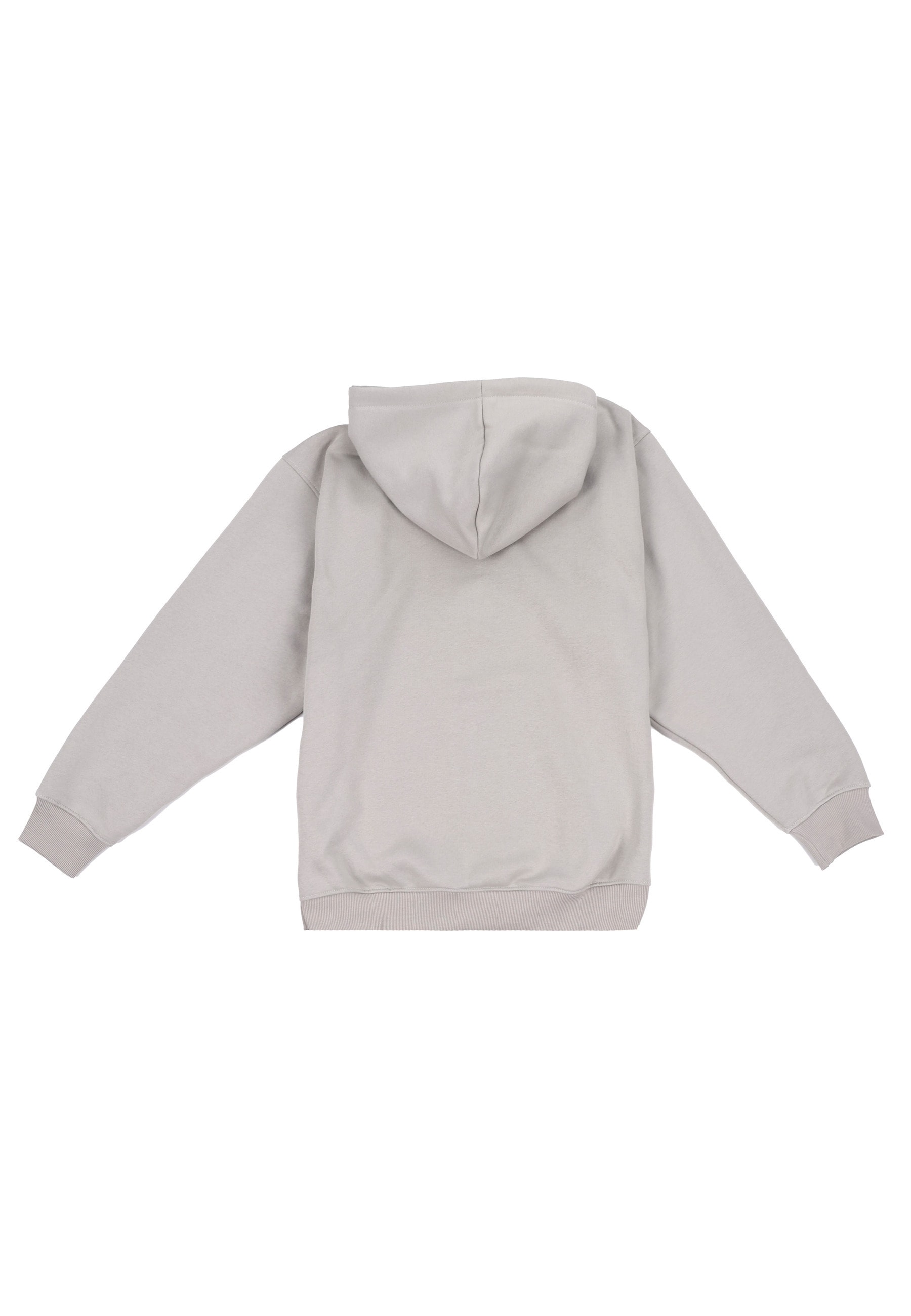 Dropsize Kapuzenpullover "Dropsize Dropsize REGULAR FIT ZIP-HOODIE" 1 tlg. günstig online kaufen