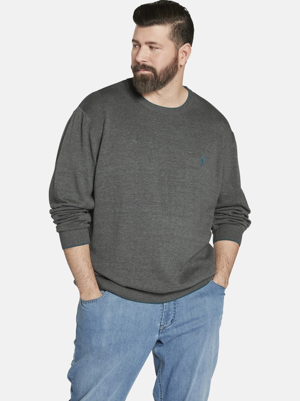 Rundhalspullover »Pullover EARL ARCHIE«