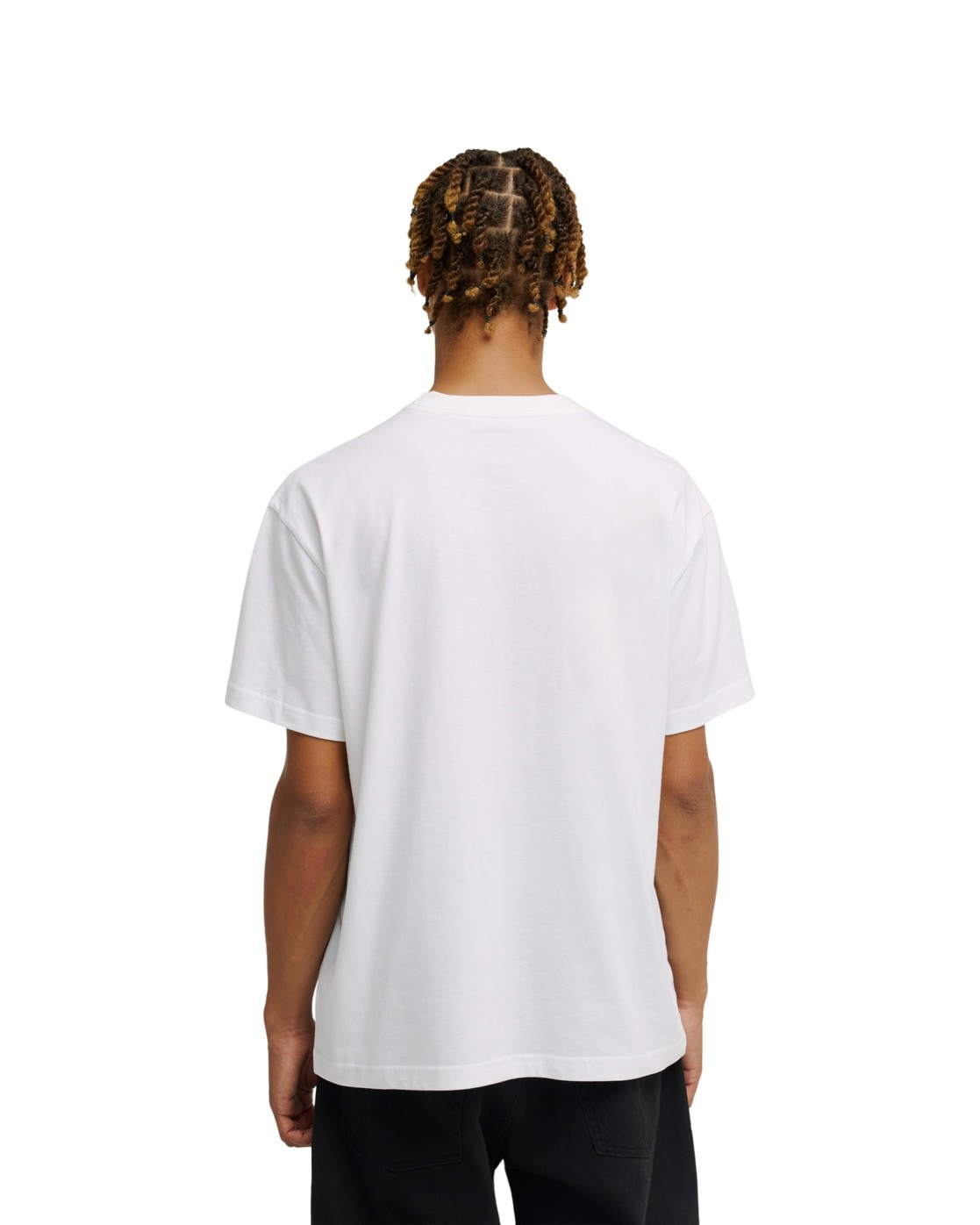 DC Shoes T-Shirt »DC Painted Van«