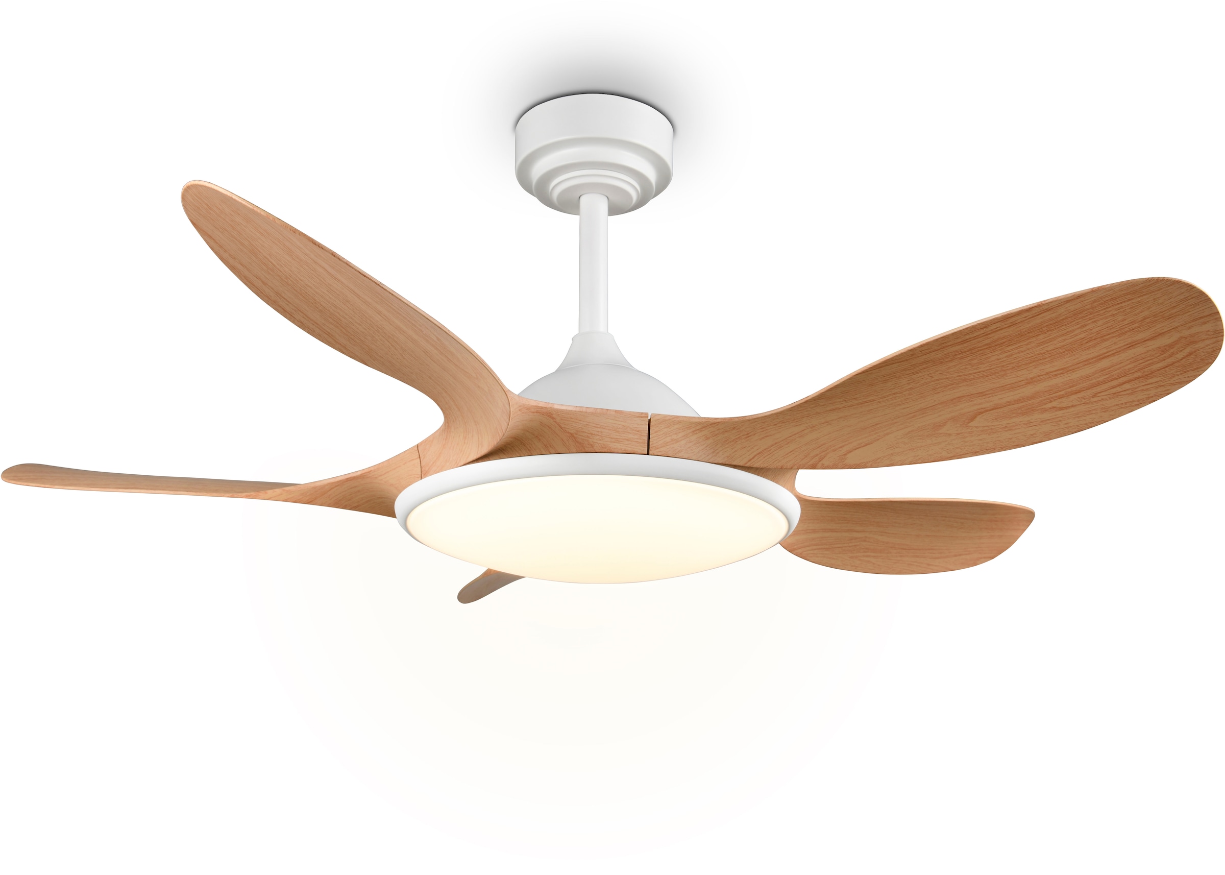 REALITY Leuchten LED Deckenleuchte »FLEN mit Ventilator, großer Deckenventilator Ø 108cm mit 24W LED CCT« LED-Board 1 Stk. Farbwechsler | warmweiß - kaltweiß Fernbedienung 6 Geschwindigkeiten Timer Vor- & Rücklauf dimmbar
