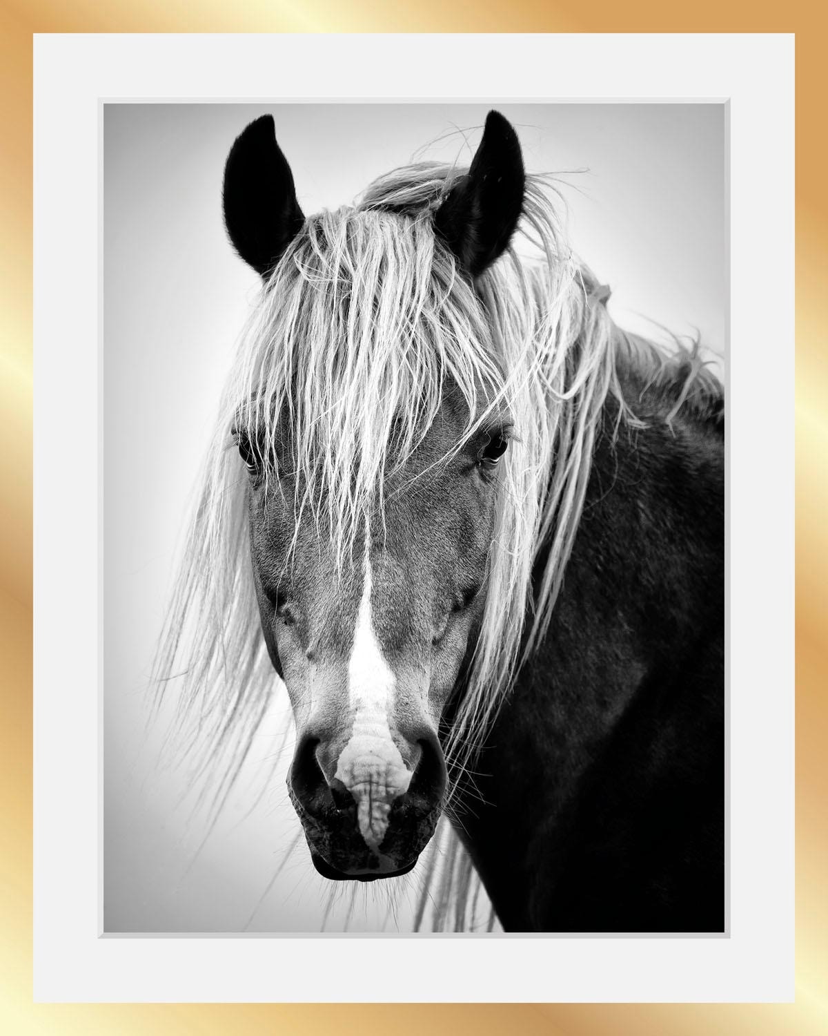 queence Bild "Pferdekopf" Gesicht Pferde Pferdebilder Schwarz-Weiß Tiere HD Premium Poster-Druck inkl. Holzrahmen in schwarz