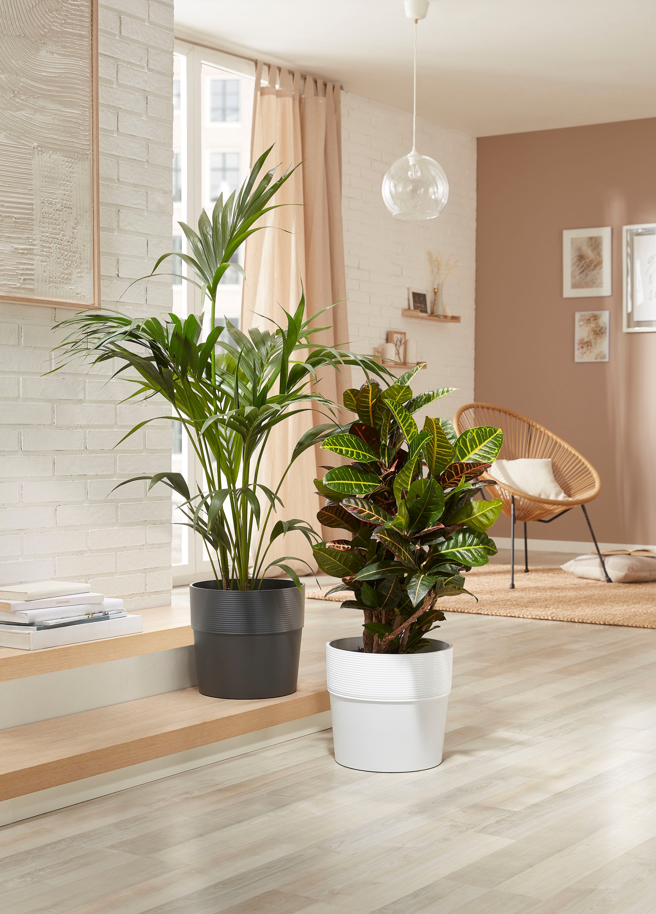 Scheurich Blumentopf »224/30 groove carbon«