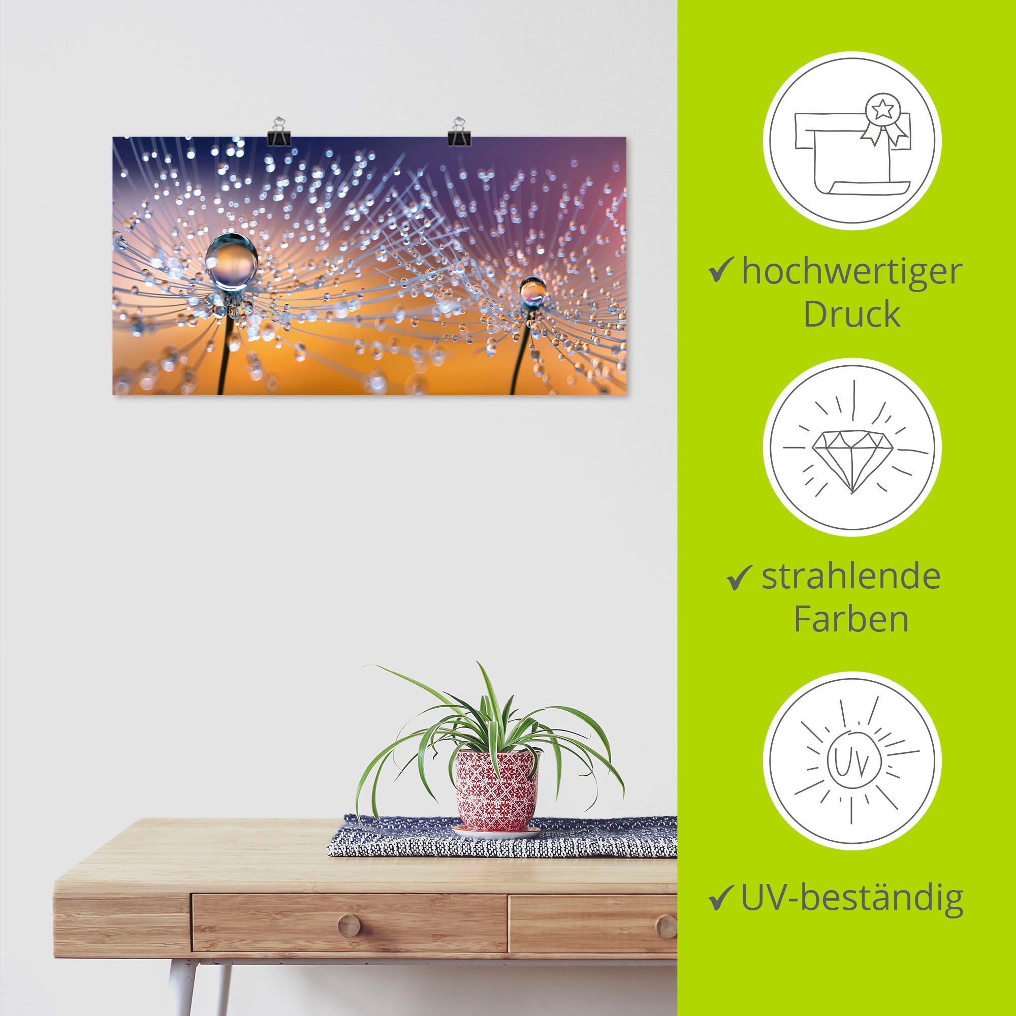 Artland Wandbild »Pusteblumen Tautropfen«, Blumenbilder, (1 St.), als Alubild, Outdoorbild, Leinwandbild, Poster, Wandaufkleber