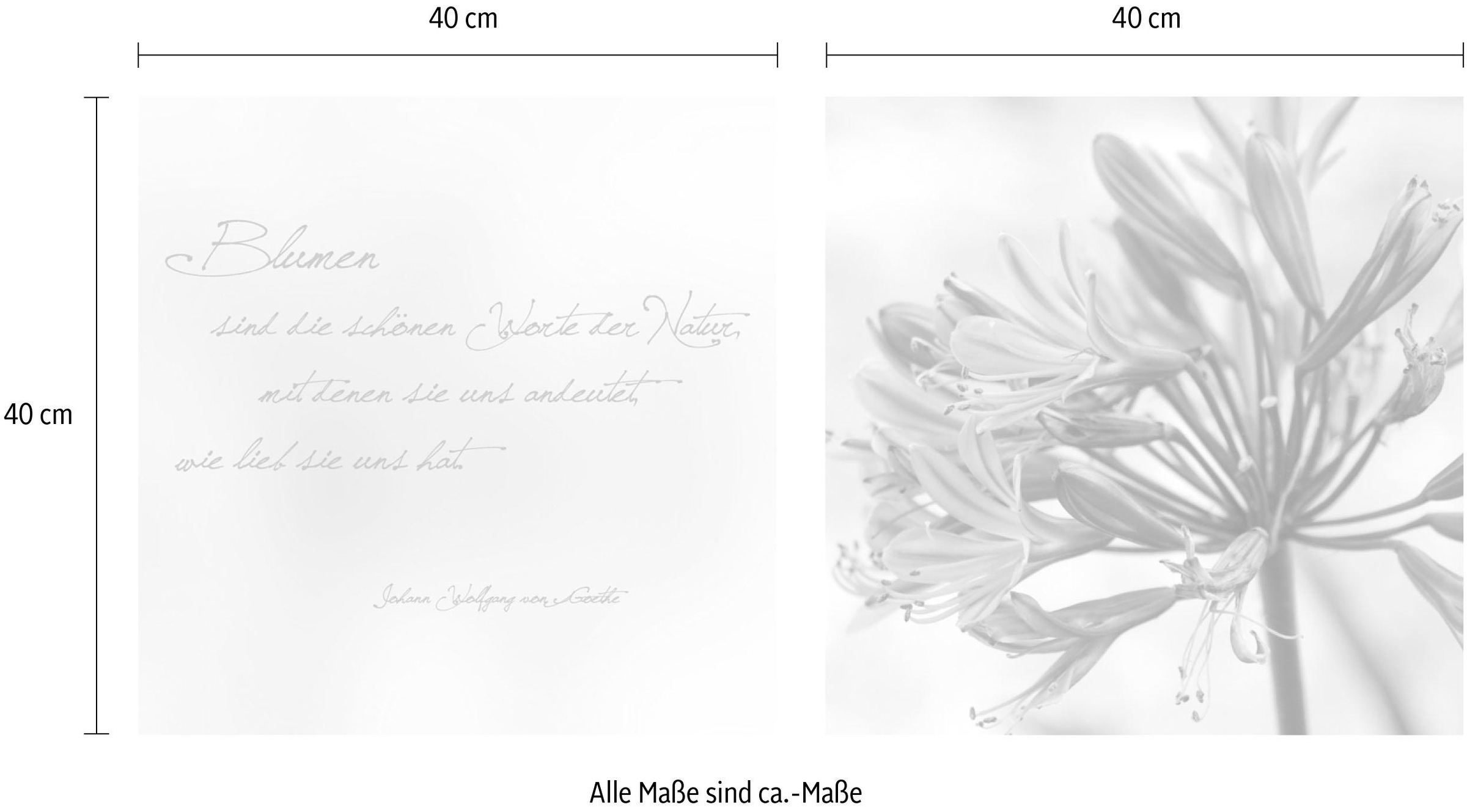 queence Leinwandbild »Worte der Natur«, Blätter-Blätterbilder-Kunst-Modern-Spa-Spa Bilder-Sprüche-Sprüche & Texte-Schriftzug-Schriftzüge, (Set), Premium-Leinwandstoff, Handarbeit aus Deutschland, Zitat, 2er Set