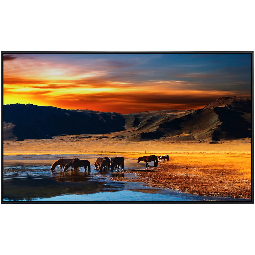 Papermoon Infrarotheizung »Mongolische Pferde«