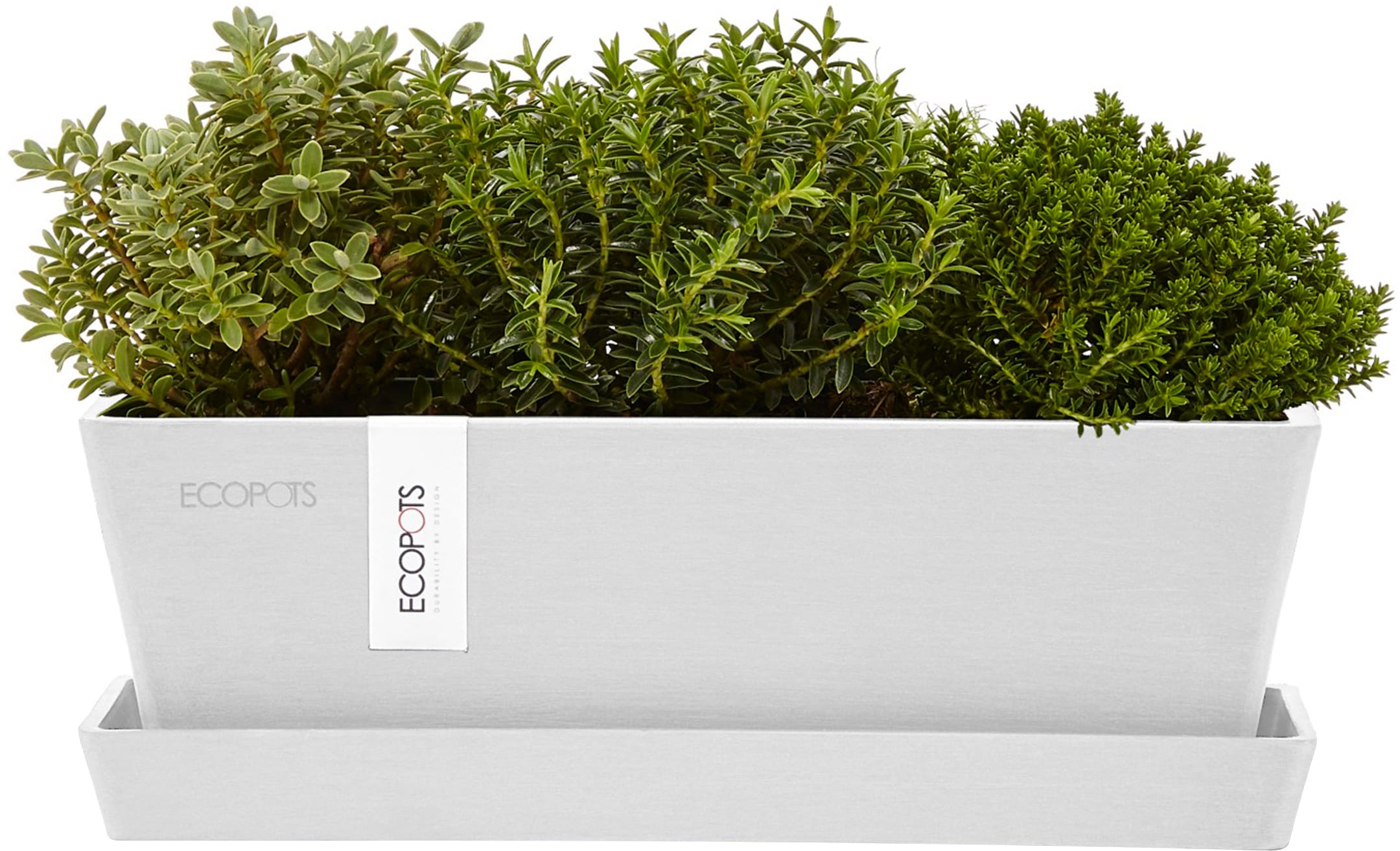 ECOPOTS Balkonkasten »Bruges Mini 25 Weiß«, für innen und außen: frostsicher, bruchsicher und lichtbeständig