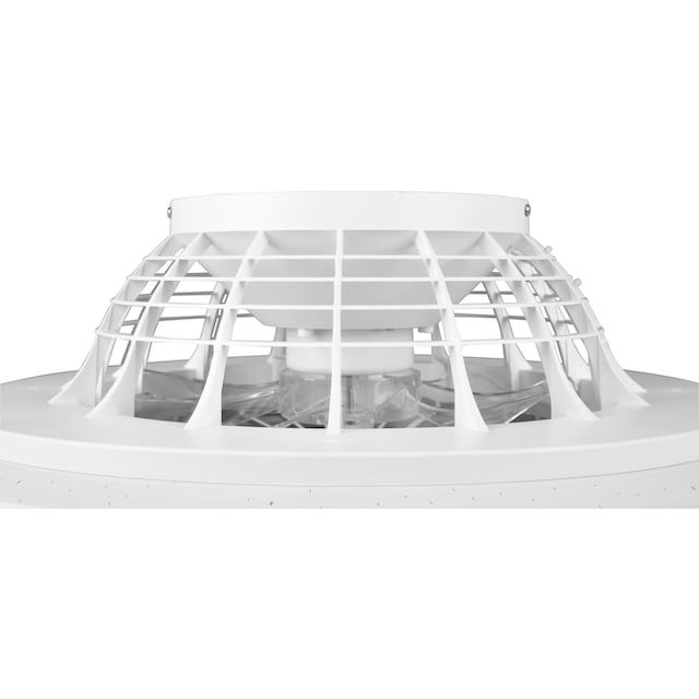 TRIO Leuchten LED Deckenleuchte »Stralsund«, 1 flammig-flammig,  Deckenventilator mit 3 Stufen, Fernbed., Lichtfarbe einstellbar, RGBW | BAUR