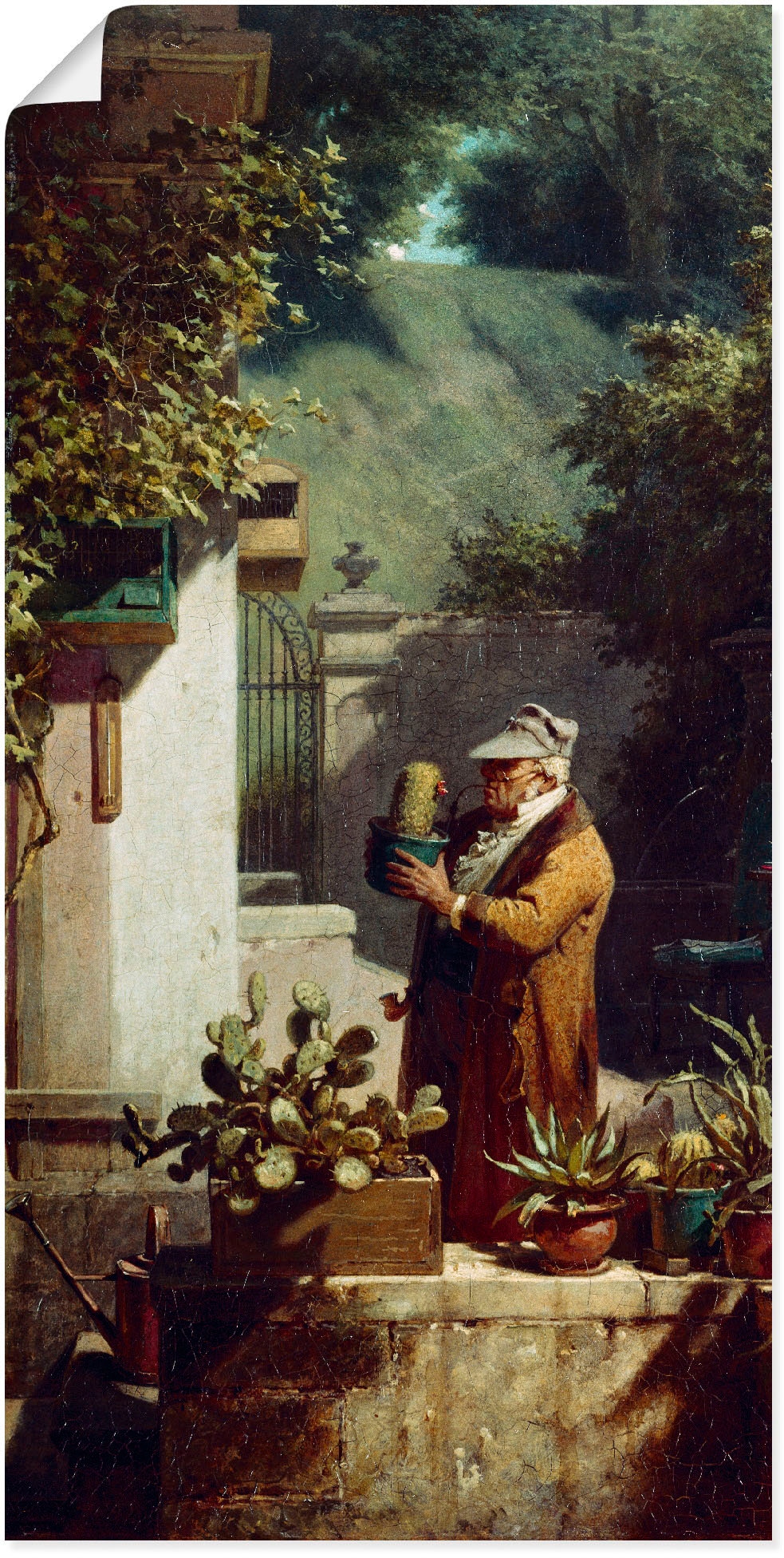 Wandbild »Der Kaktusfreund. Vor 1858«, Mann, (1 St.), als Leinwandbild, Poster in...