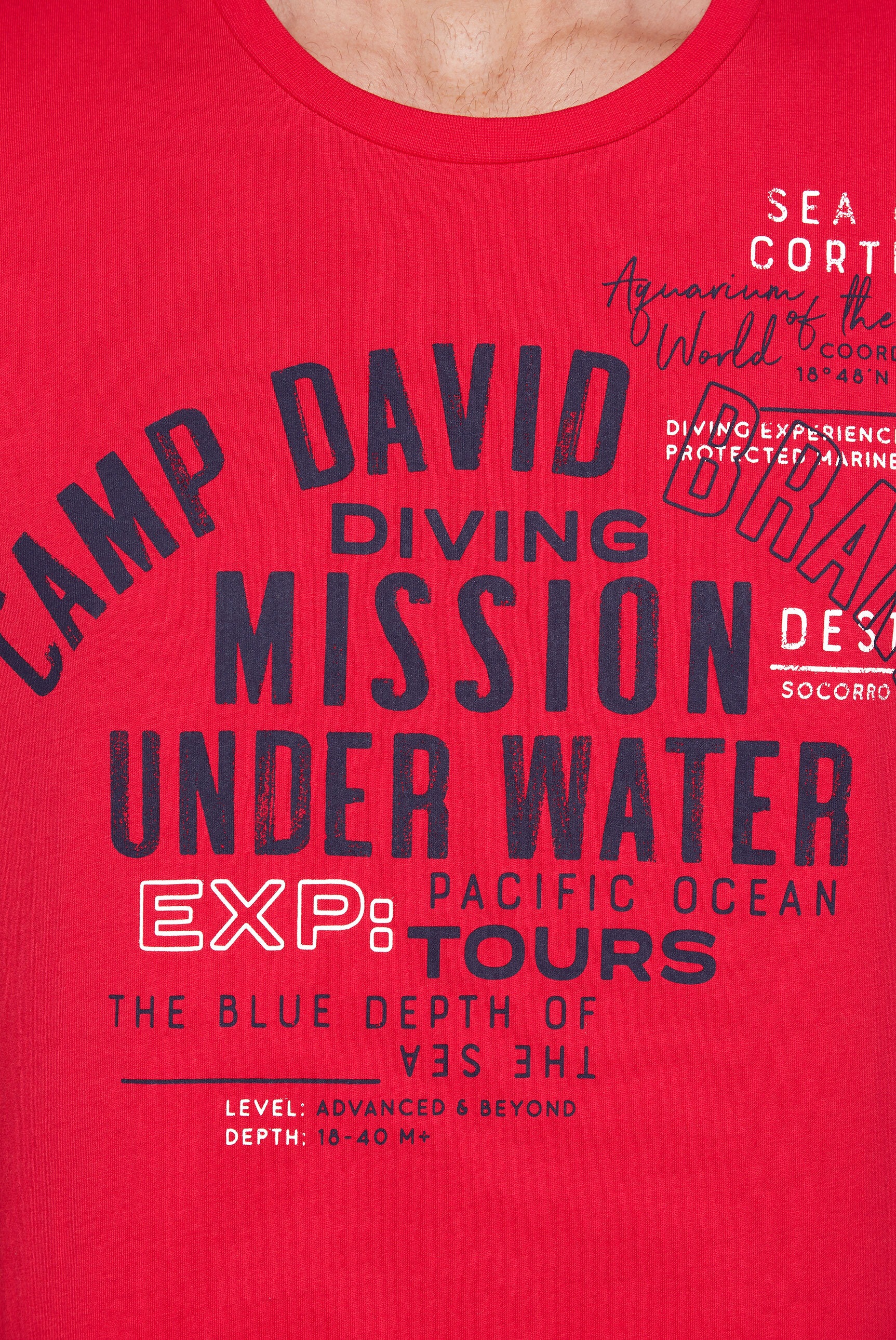 CAMP DAVID Rundhalsshirt, aus Baumwolle