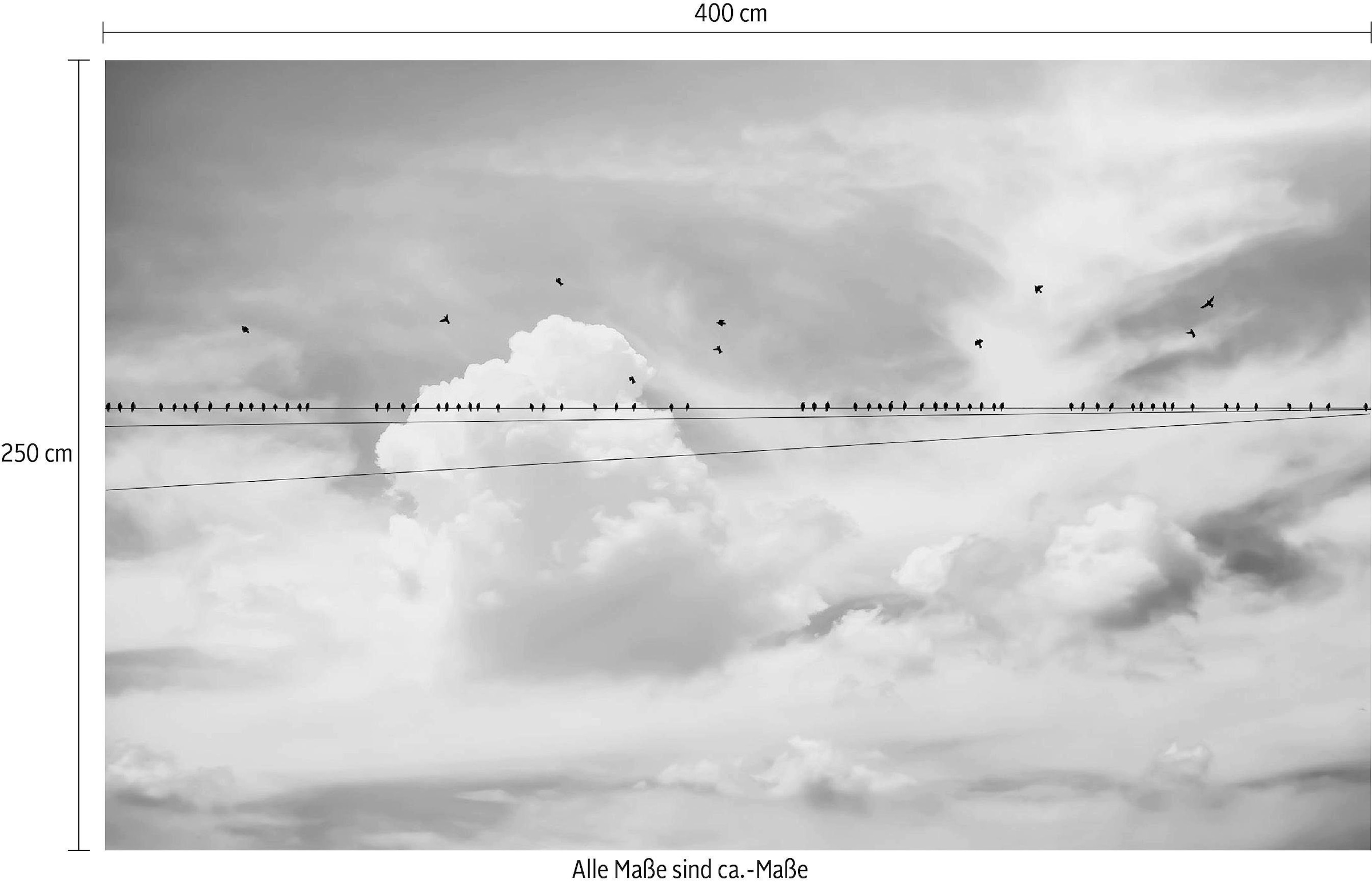 Komar Vliestapete »Digitaldruck Vlies -  Cloud Wire - Größe 400 x 250 cm« bedruckt glatt Wohnzimmer, Schlafzimmer