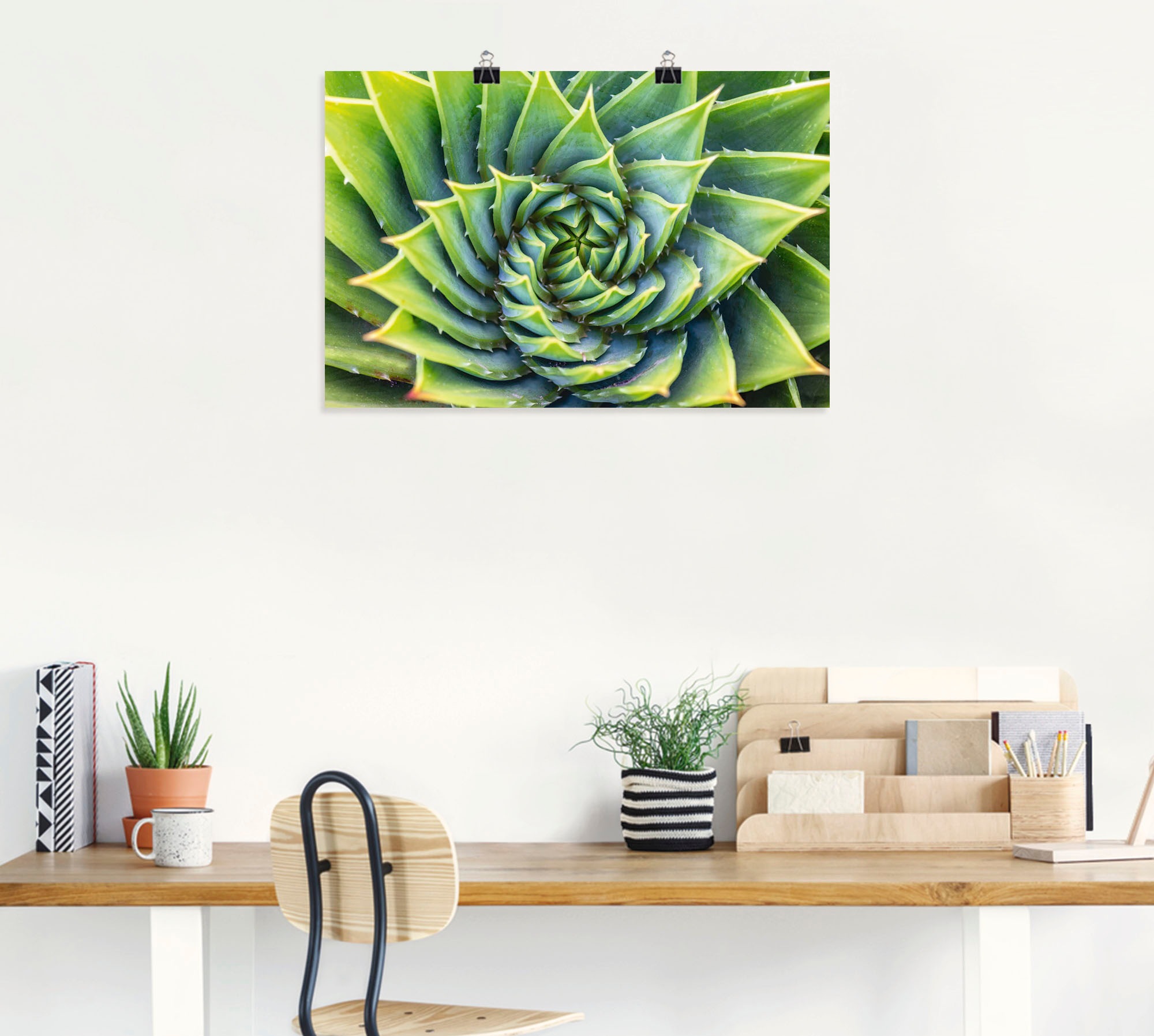 Artland Wandbild »Grüne Spirale«, Pflanzenbilder, (1 St.), als Alubild, Leinwandbild, Wandaufkleber oder Poster in versch. Größen