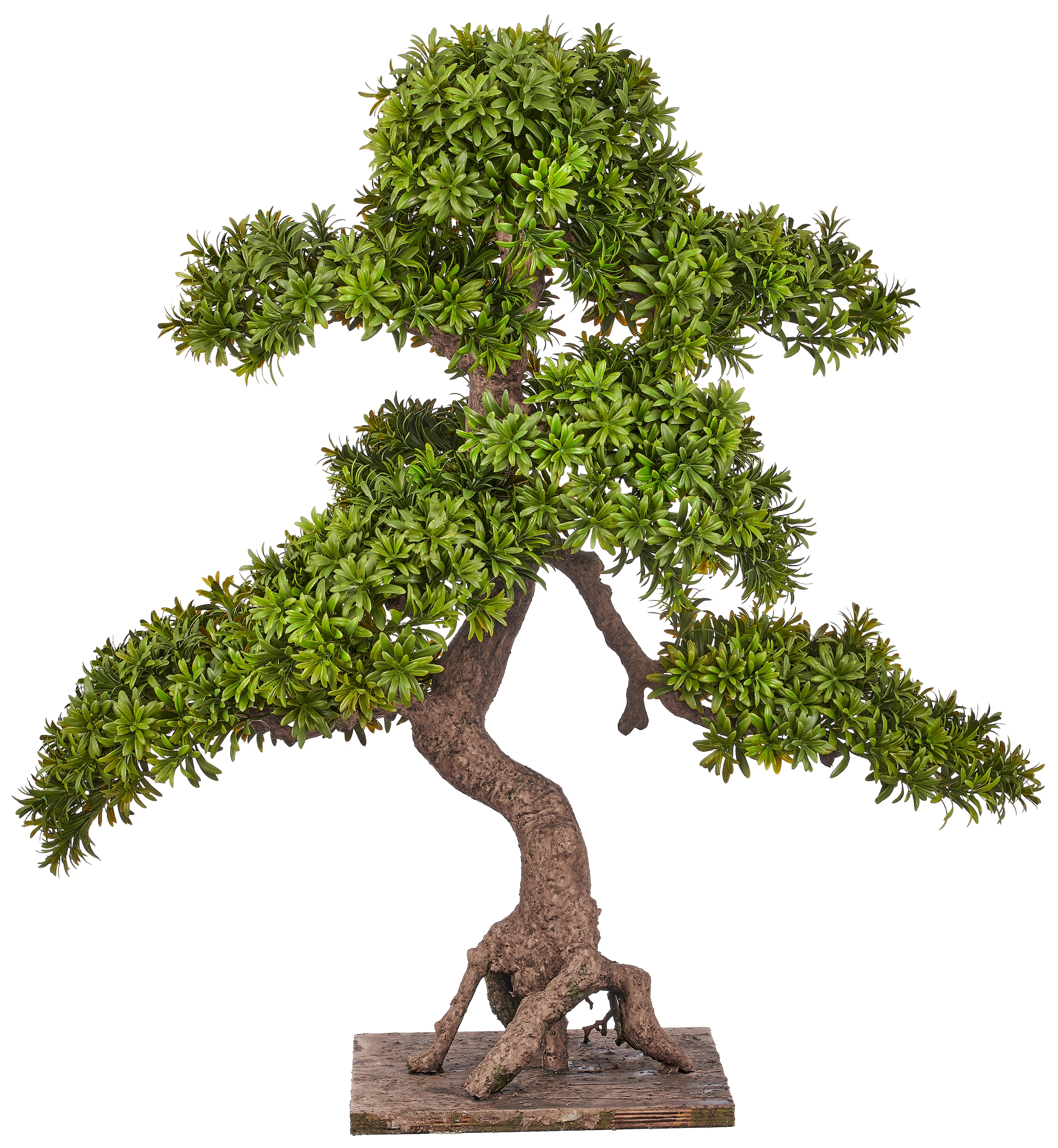 Creativ green Kunstbonsai "Bonsai Podocarpus macrophyllus" in naturgetreuer Gestaltung