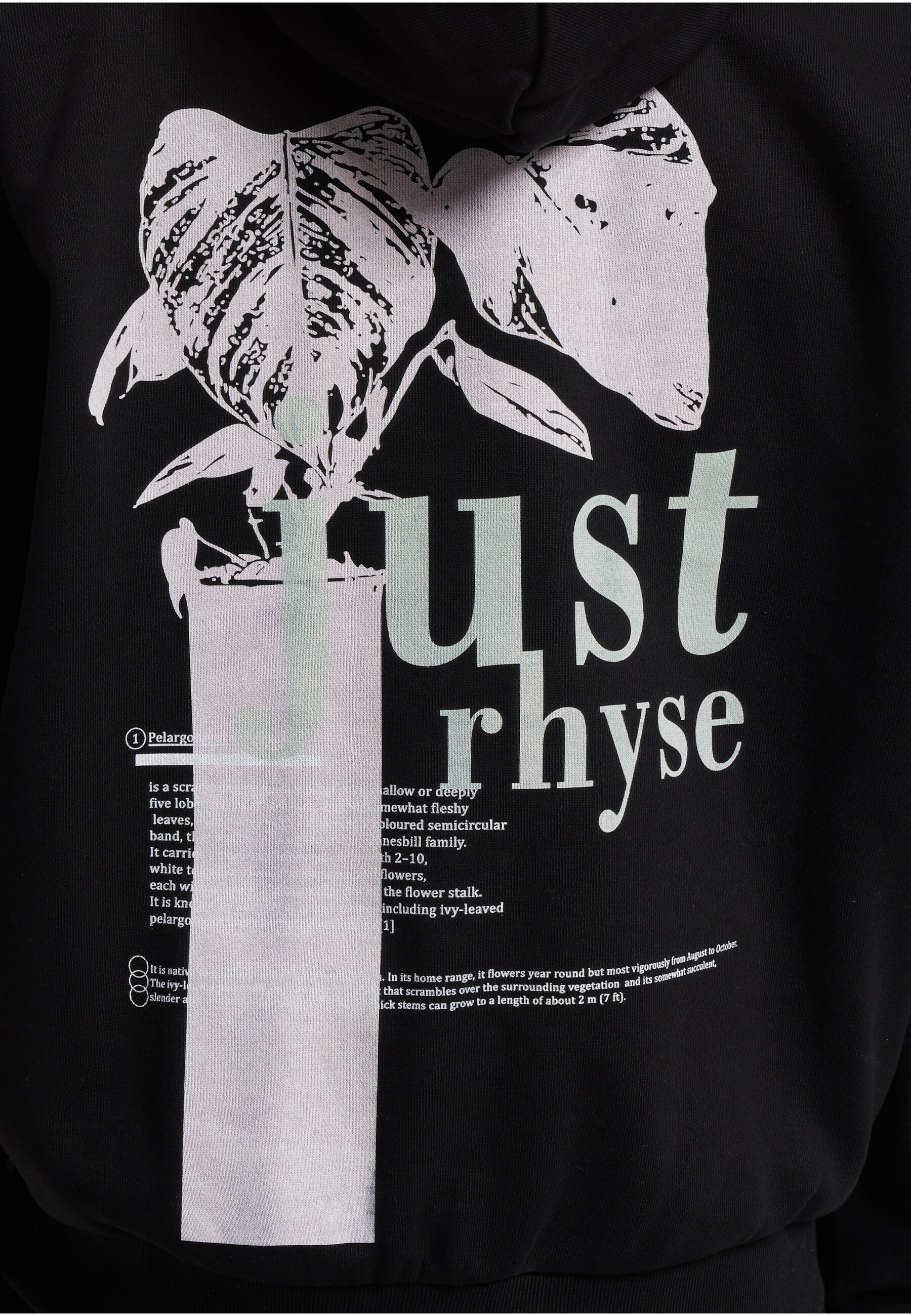 Just Rhyse Rundhalspullover »Just Rhyse JRHD503T Greenhouse Hoody« 1