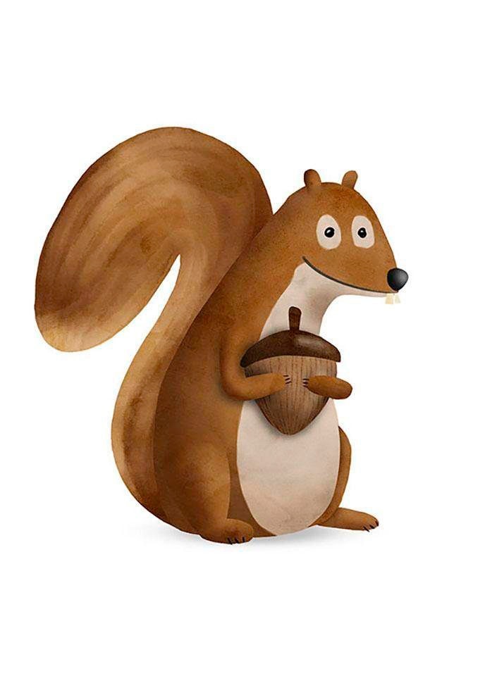 Komar Poster »Cute Animal Squirrel«, Tiere, (1 St.), Kinderzimmer,  Schlafzimmer, Wohnzimmer | BAUR