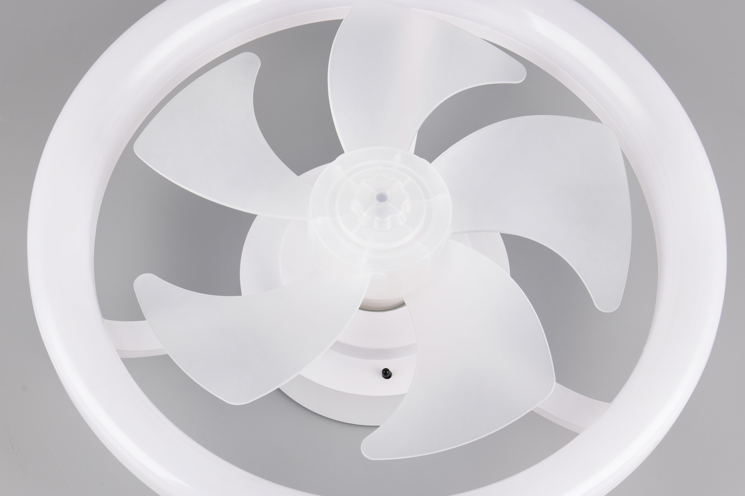 REALITY Leuchten LED Deckenleuchte »PAJALA mit Ventilator, Deckenventilator mit Licht, 22W LED CCT Ø 40cm« LED-Board 1 Stk. Farbwechsler | warmweiß - kaltweiß Fernbedienung 3 Geschwindigkeiten Timer Vor- & Rücklauf dimmbar