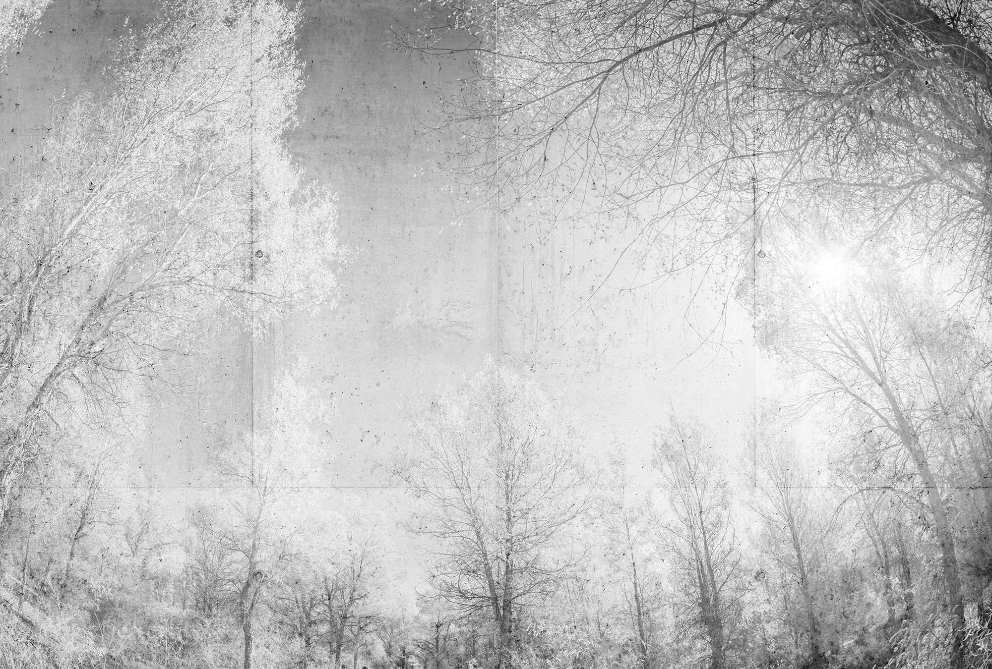 Architects Paper Fototapete "Atelier 47 Forest Glade 1" Wald glatt Vlies, W günstig online kaufen
