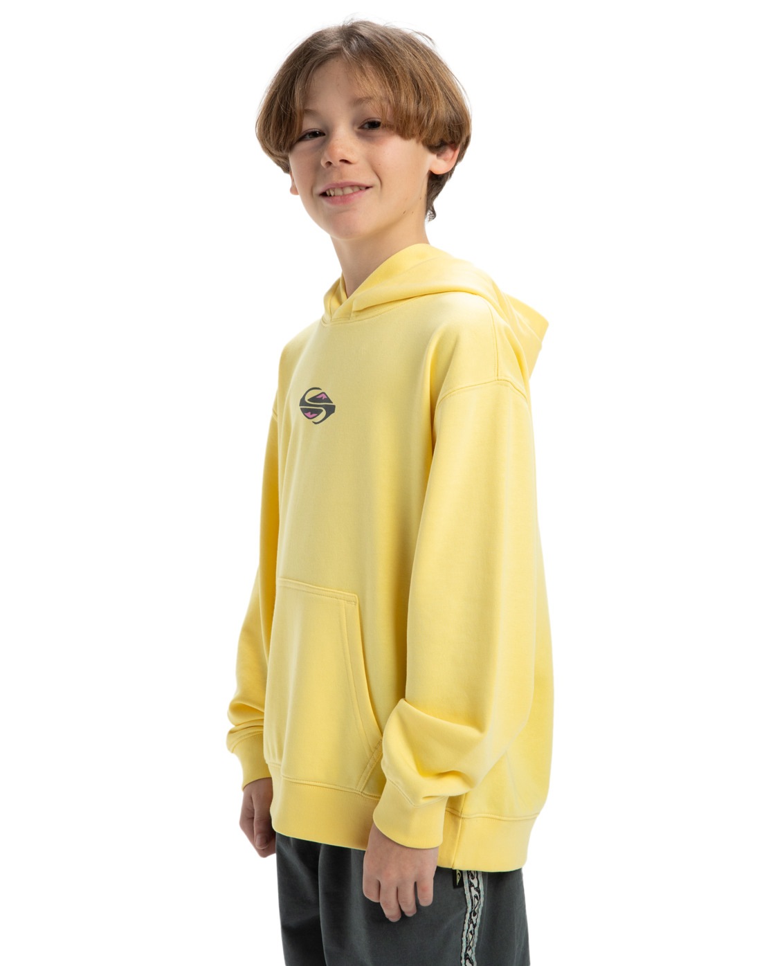 Quiksilver Hoodie »APOG Heritage«