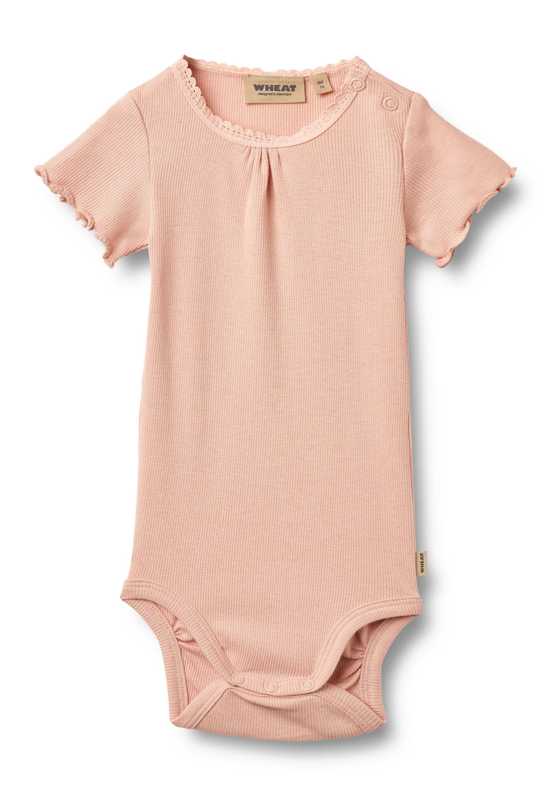 WHEAT Blusenbody »WHEAT Rippkörper S/S Edna«