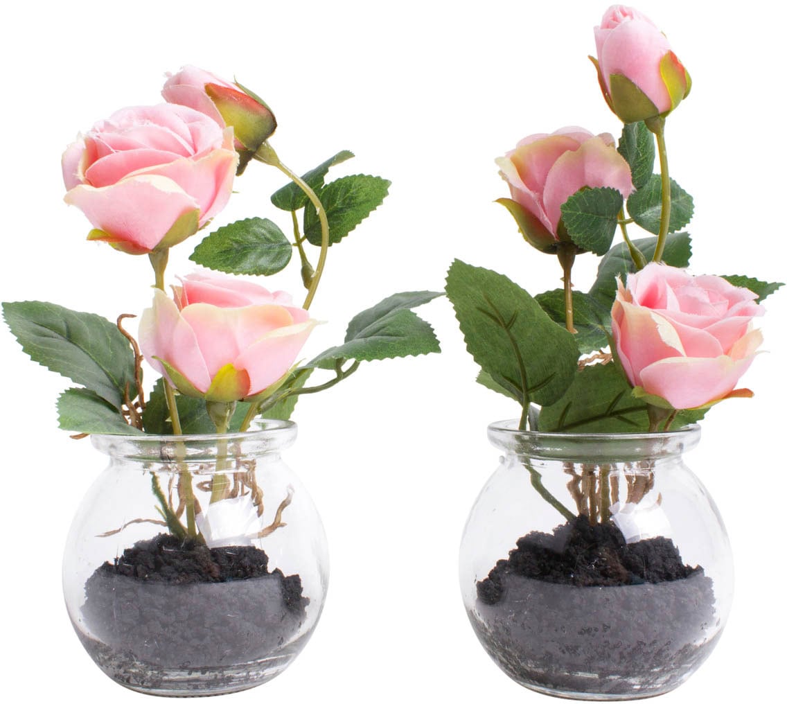 Botanic-Haus Kunstblume »Rosen im Glas«