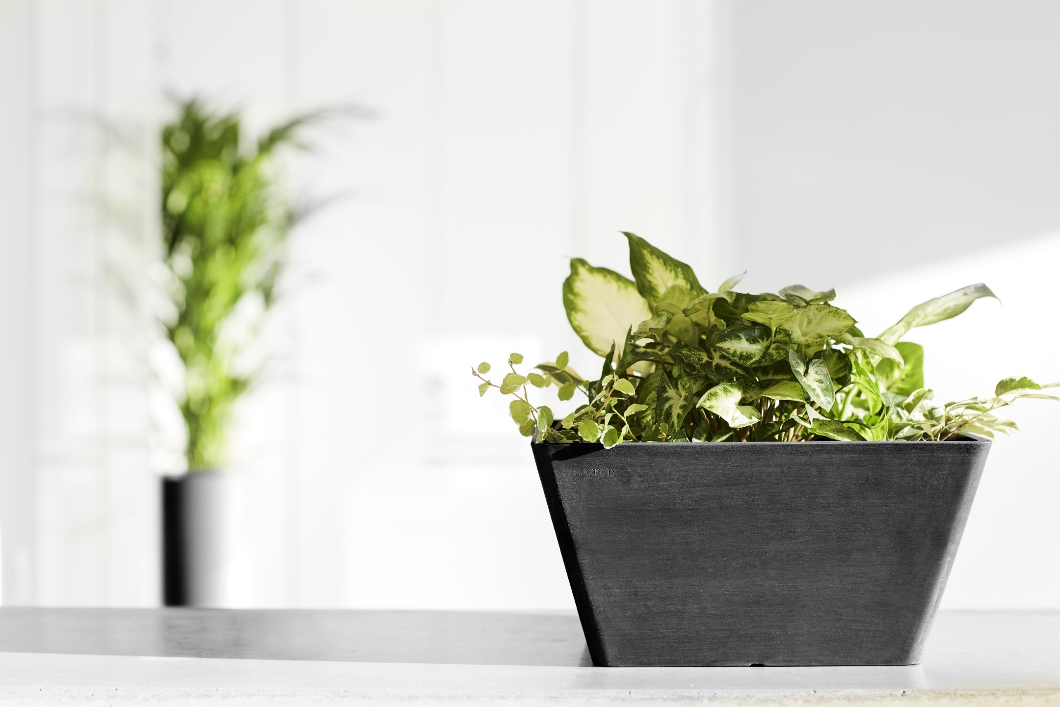 ECOPOTS Blumentopf »BERLIN Dark Grey«, BxTxH: 31x31x15,5 cm