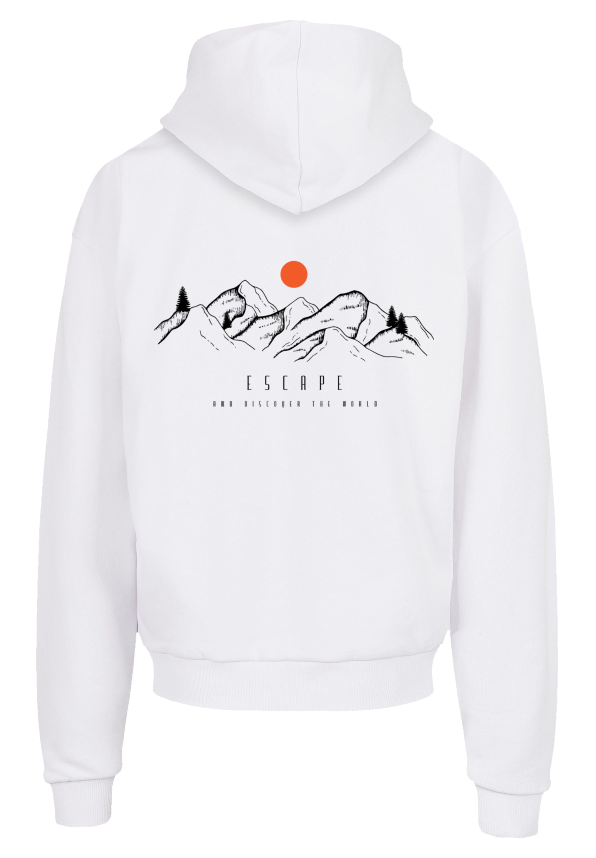 F4NT4STIC Kapuzenpullover »MOUNTAIN x F4NT4STIC«, Print