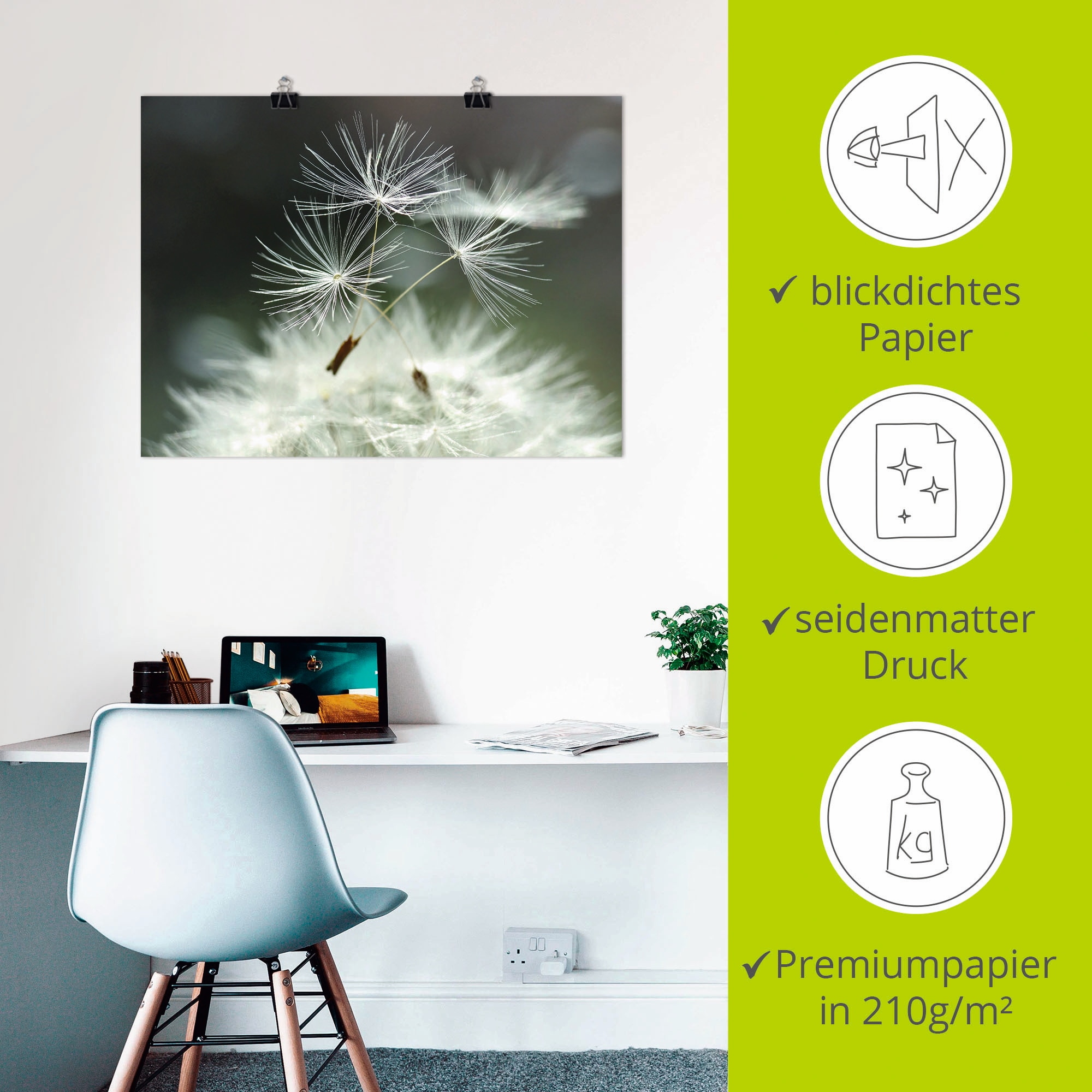 Artland Wandbild »Pusteblume Facility«, Blumen, (1 St.), als Alubild, Outdoorbild, Leinwandbild, Poster, Wandaufkleber